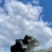 Fotografia przedstawiająca Igor Mitoraj\'s sculpture Light of the Moon in The Hague