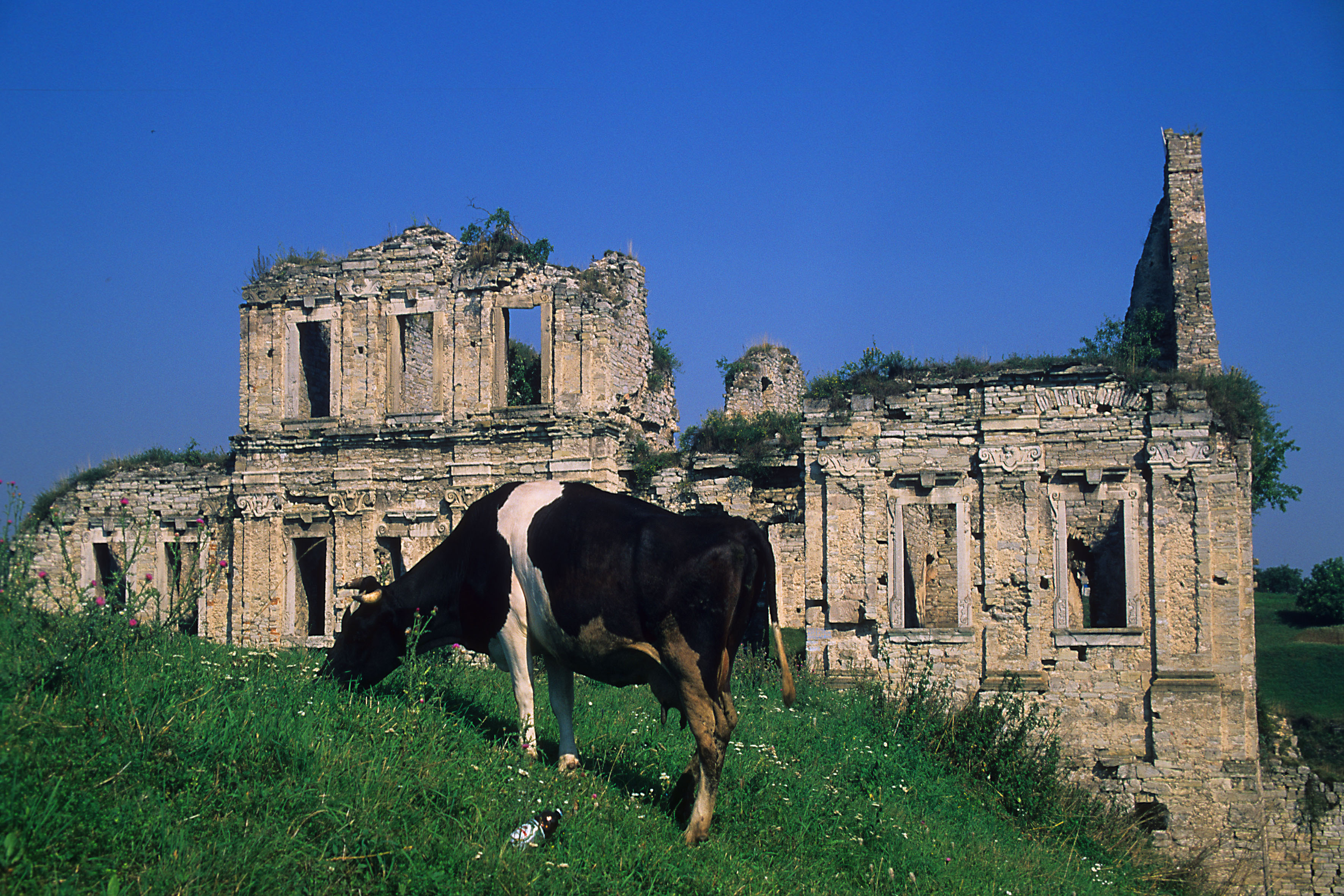 Photo montrant Château de Podolske Skala