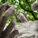 Fotografia przedstawiająca Nicolaus Copernicus (\"Kopernikus\") monument in Salzburg