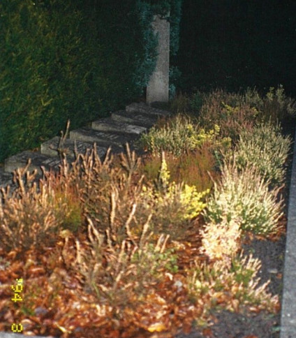 Grób kaprala Tadeusza Henkla ps. Kulesza na cmentarzu Neuer Friedhof. Groby oznaczone kamiennymi płytami, otoczone roślinami i opadłymi liśćmi.