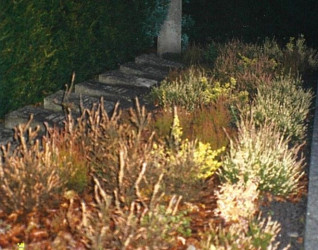 Grób kaprala Tadeusza Henkla ps. Kulesza na cmentarzu Neuer Friedhof. Groby oznaczone kamiennymi płytami, otoczone roślinami i opadłymi liśćmi.