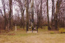 Photo showing Graves of Home Army soldiers and victims of the Ukrainian Insurgent Army (UPA)