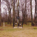 Photo showing Graves of Home Army soldiers and victims of the Ukrainian Insurgent Army (UPA)