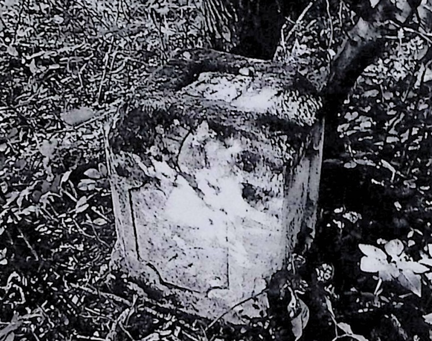 Альтернативний текст фотографії