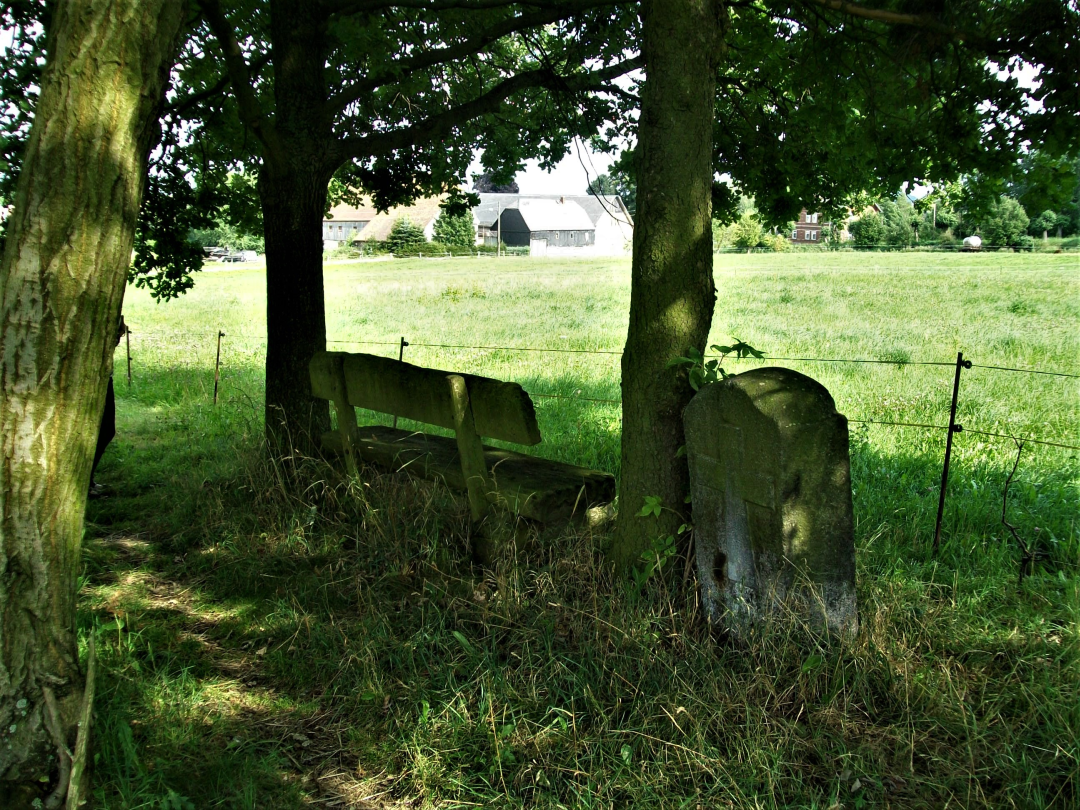 View of the buildings of the village of Eibau from the burial site of the Polish Hussars.