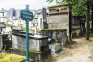 Fotografia przedstawiająca Alejka Avenue des Polonais na cmentarzu Montmartre w Paryżu