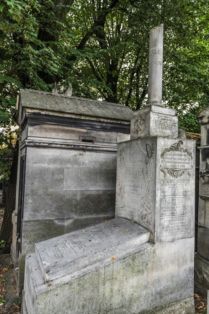 Fotografia przedstawiająca Mass grave of the Polish Democratic Society in the Montmartre cemetery in Paris