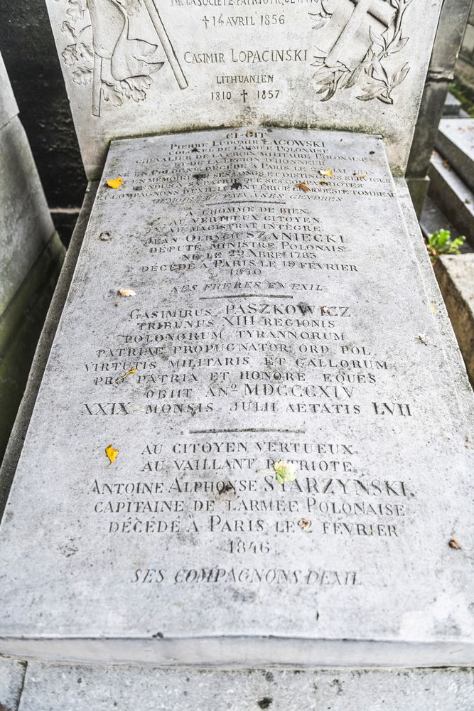 Fotografia przedstawiająca Mass grave of the Polish Democratic Society in the Montmartre cemetery in Paris