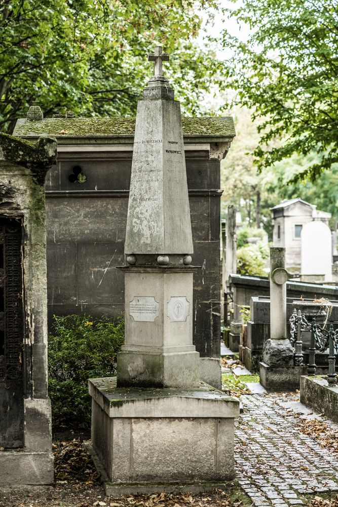 Fotografia przedstawiająca Nagrobek Walentego Wańkowicza na cmentarzu Montmartre w Paryżu