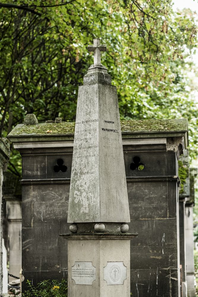 Fotografia przedstawiająca Nagrobek Walentego Wańkowicza na cmentarzu Montmartre w Paryżu