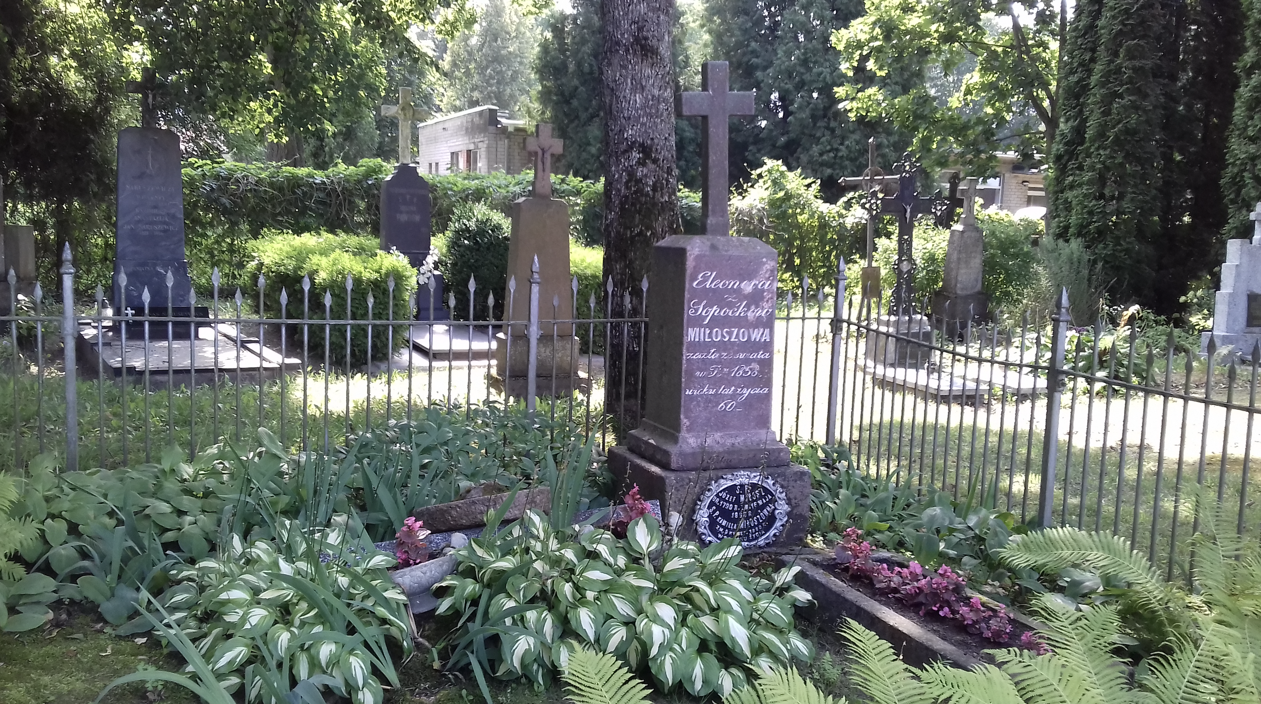 Fotografia przedstawiająca Wędziagoła - graves of the Miłosz family