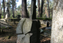 Fotografia przedstawiająca Tombstone of Filomena Kiersnowska