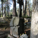 Fotografia przedstawiająca Tombstone of Filomena Kiersnowska