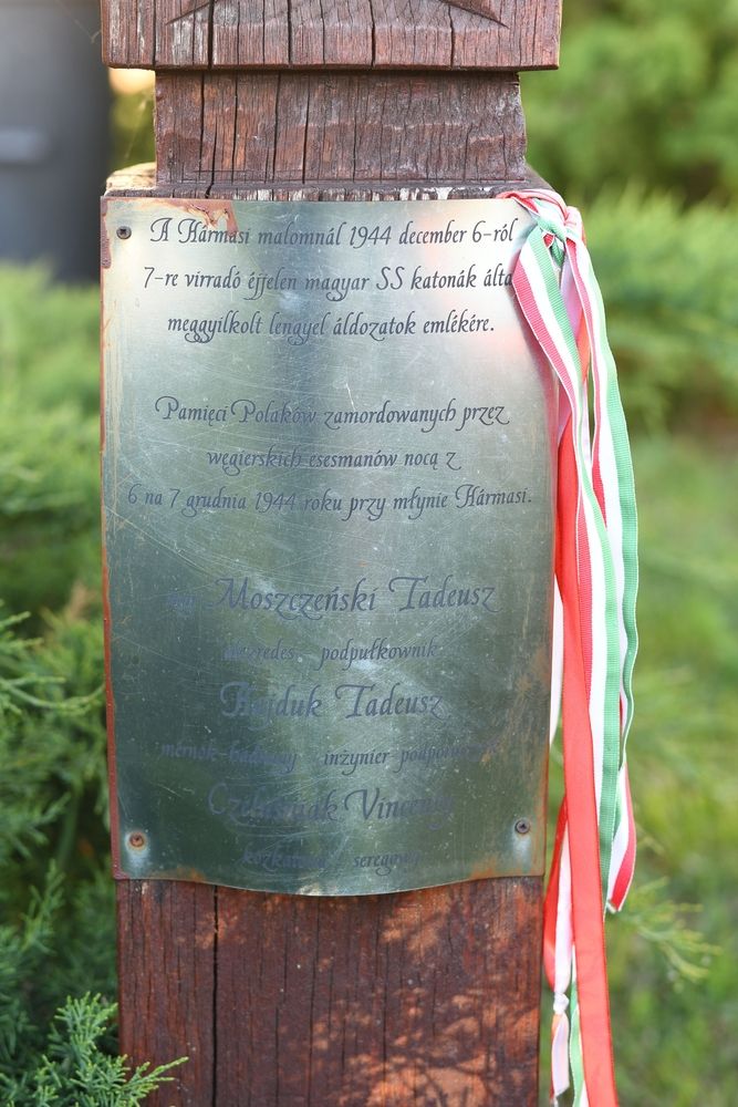 Fotografia przedstawiająca Pomniki, tablice i inne upamiętnienia związane z Polakami na Węgrzech