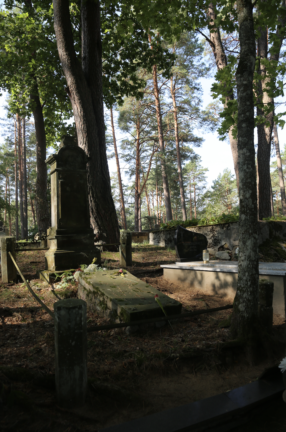 Fotografia przedstawiająca Nagrobek Emilii De-Nizo