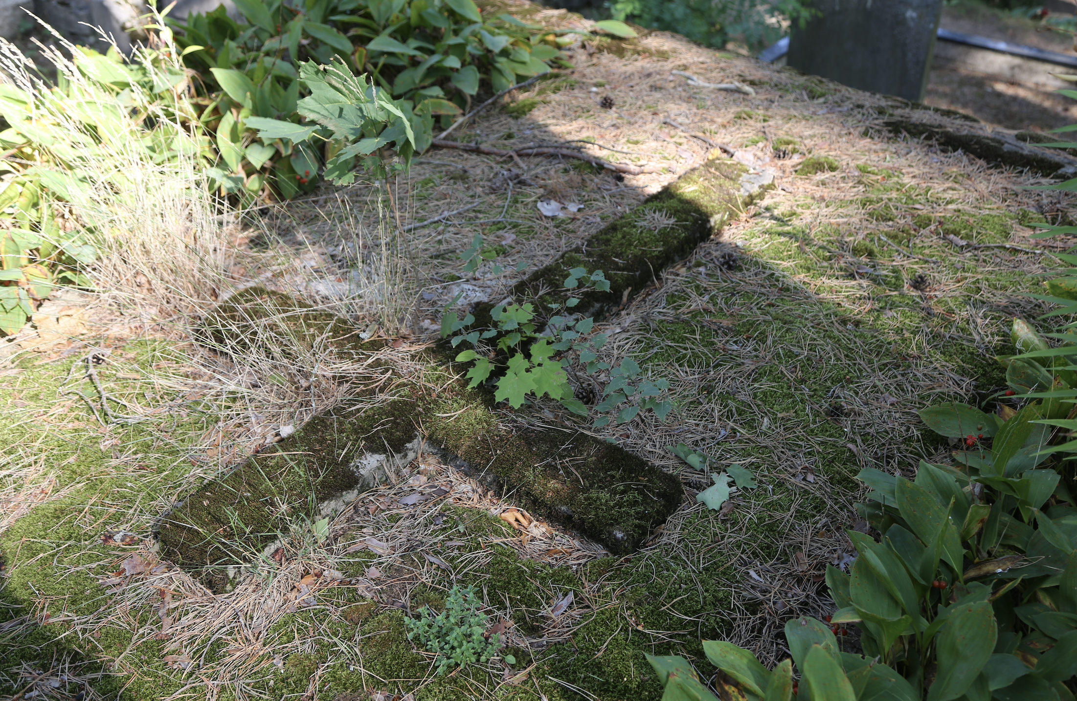 Fotografia przedstawiająca Grave of the Kiersnowski family