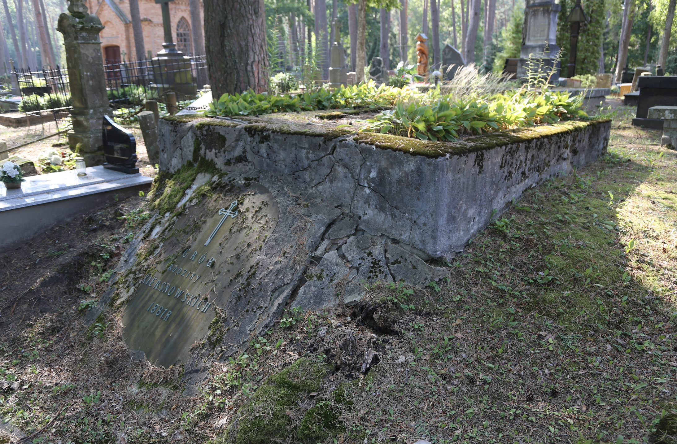 Fotografia przedstawiająca Grave of the Kiersnowski family