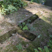 Photo showing Grave of the Kiersnowski family