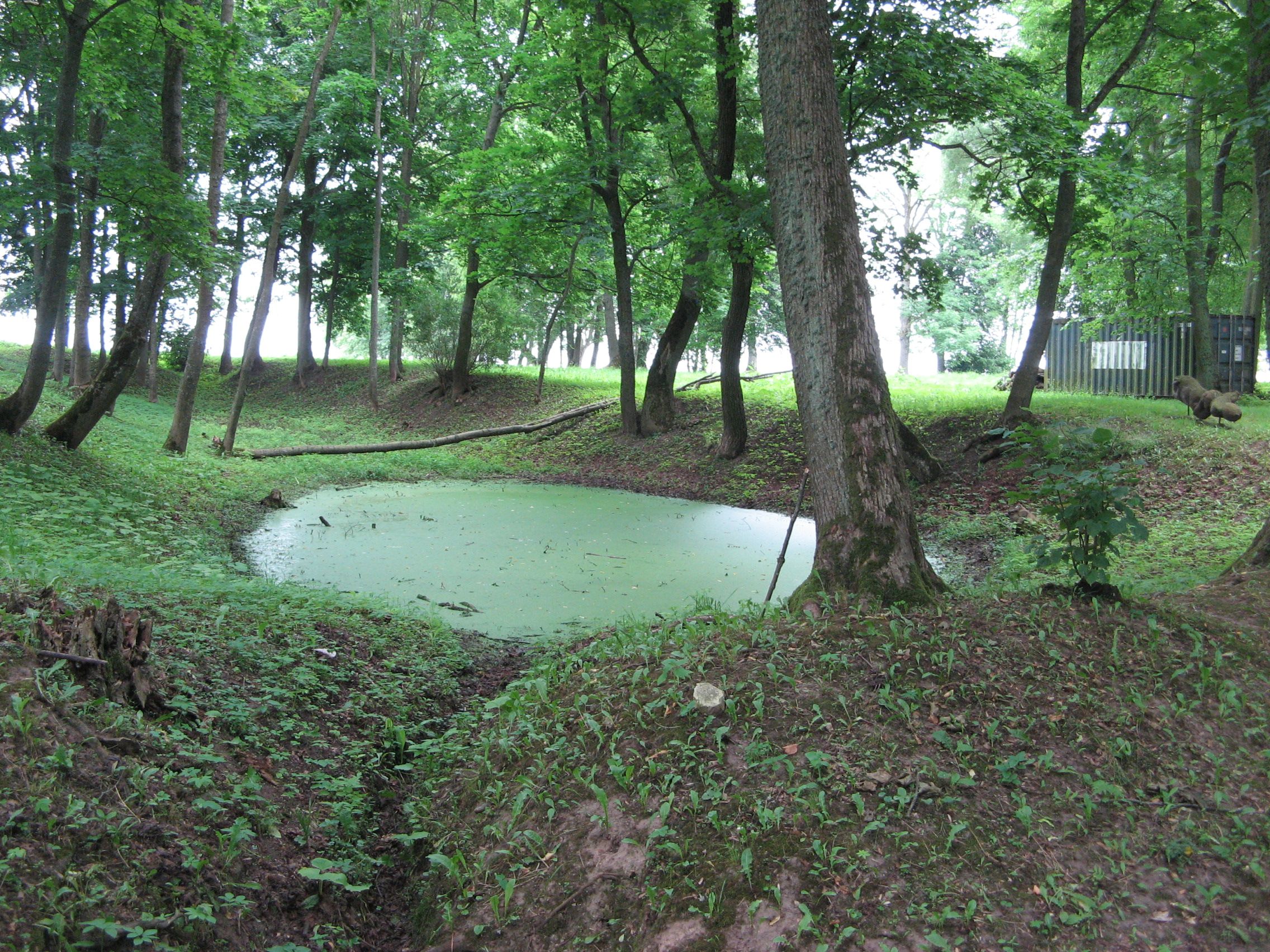 Fotografia przedstawiająca Remains of the Milosz family manor complex in Šetejny