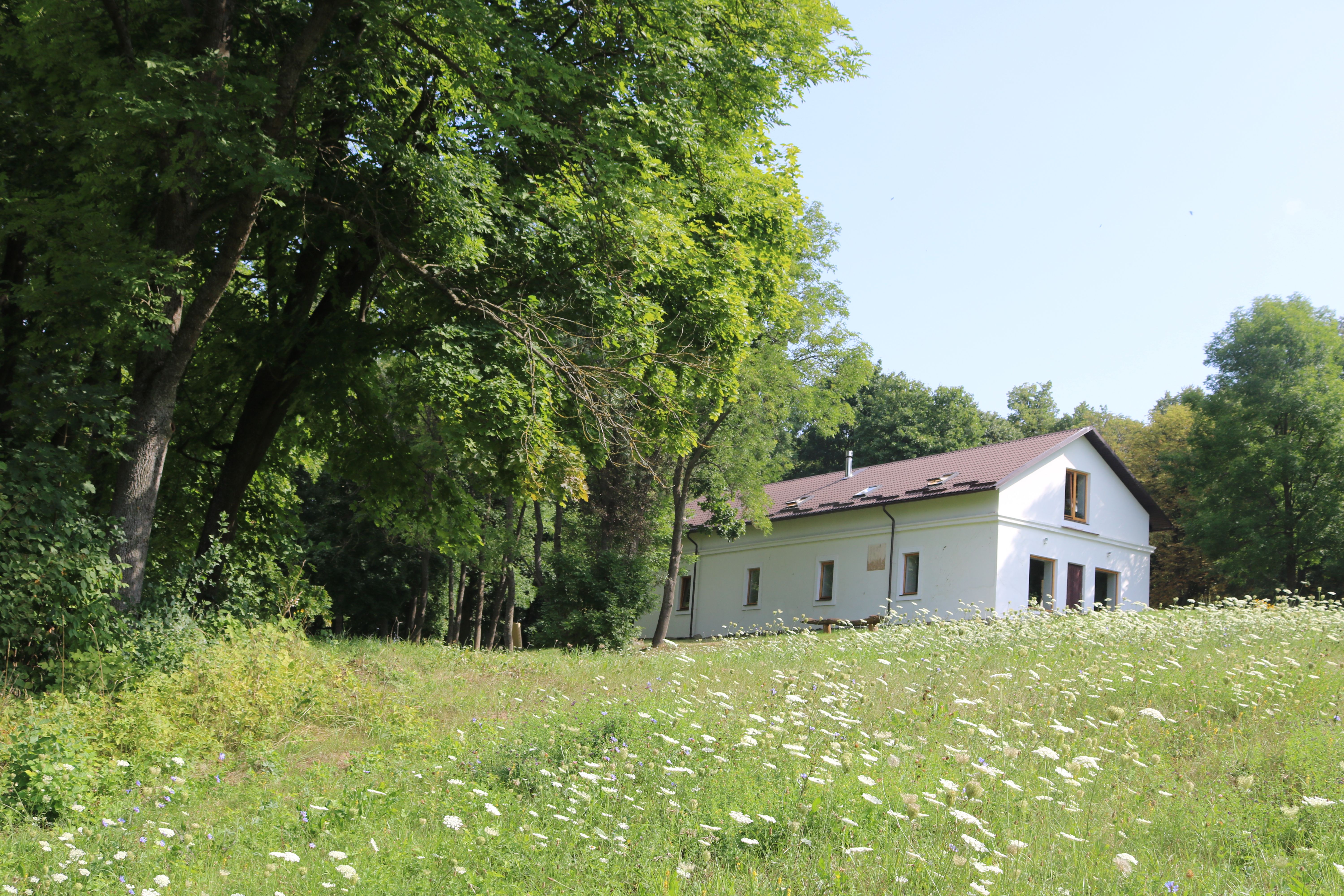 Photo montrant Vestiges du manoir de la famille Milosz à Šetejny