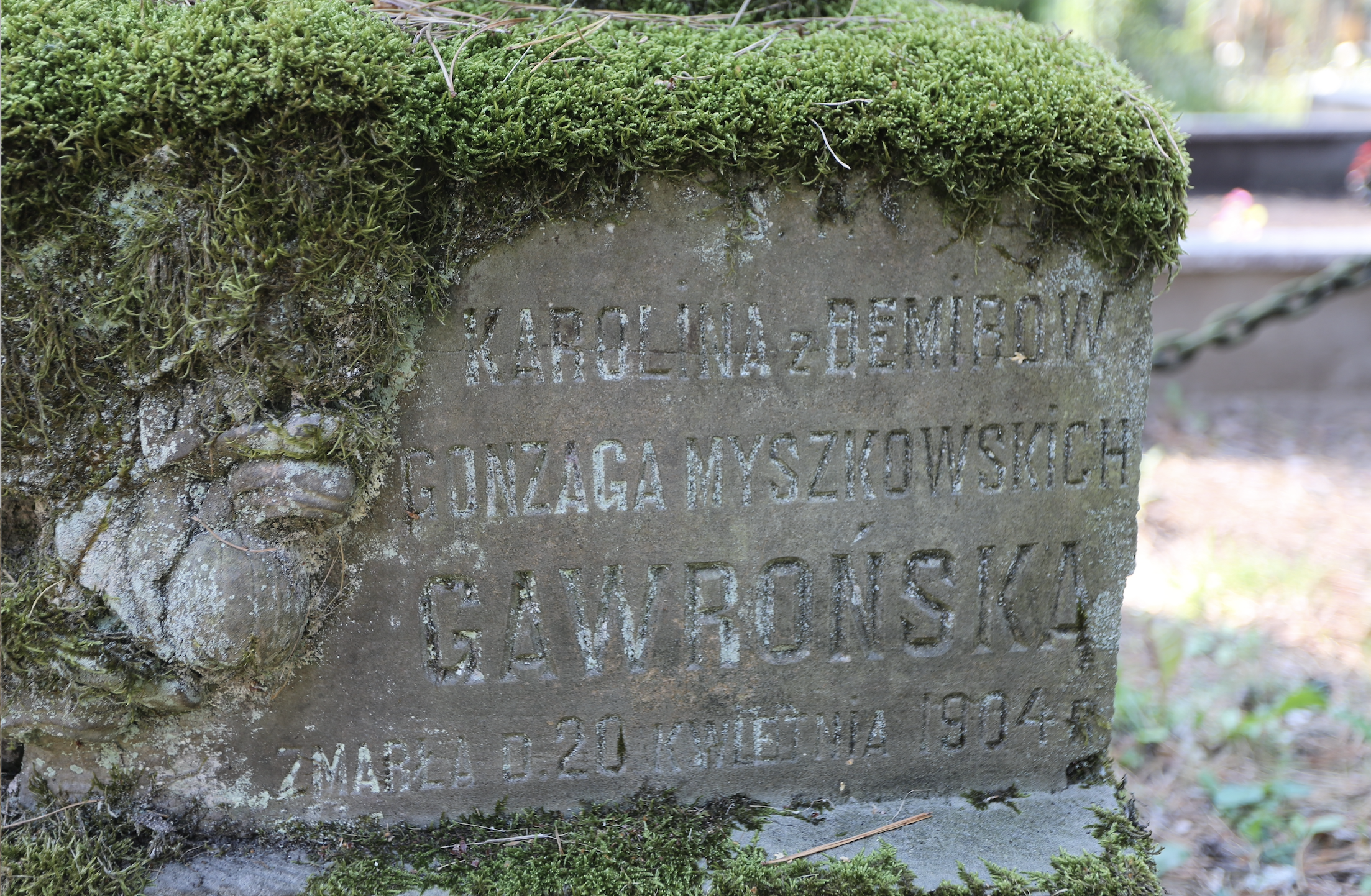 Fotografia przedstawiająca Nagrobek Józefy z Accordów Mieczkowskiej i Karoliny z Emirów Gonzaga Myszkowskich Gawrońskej