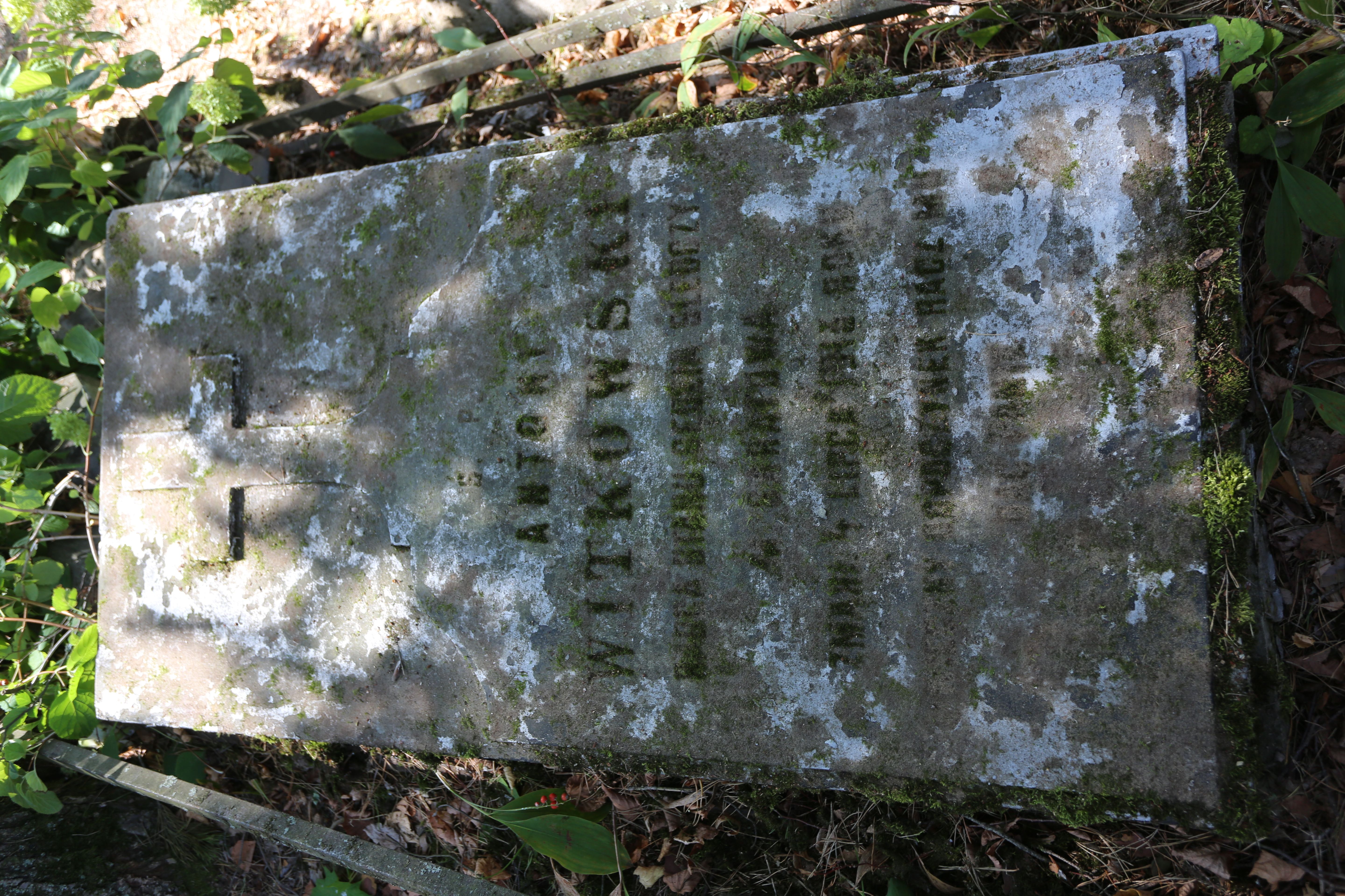 Fotografia przedstawiająca Tombstone of Antoni Witkowski