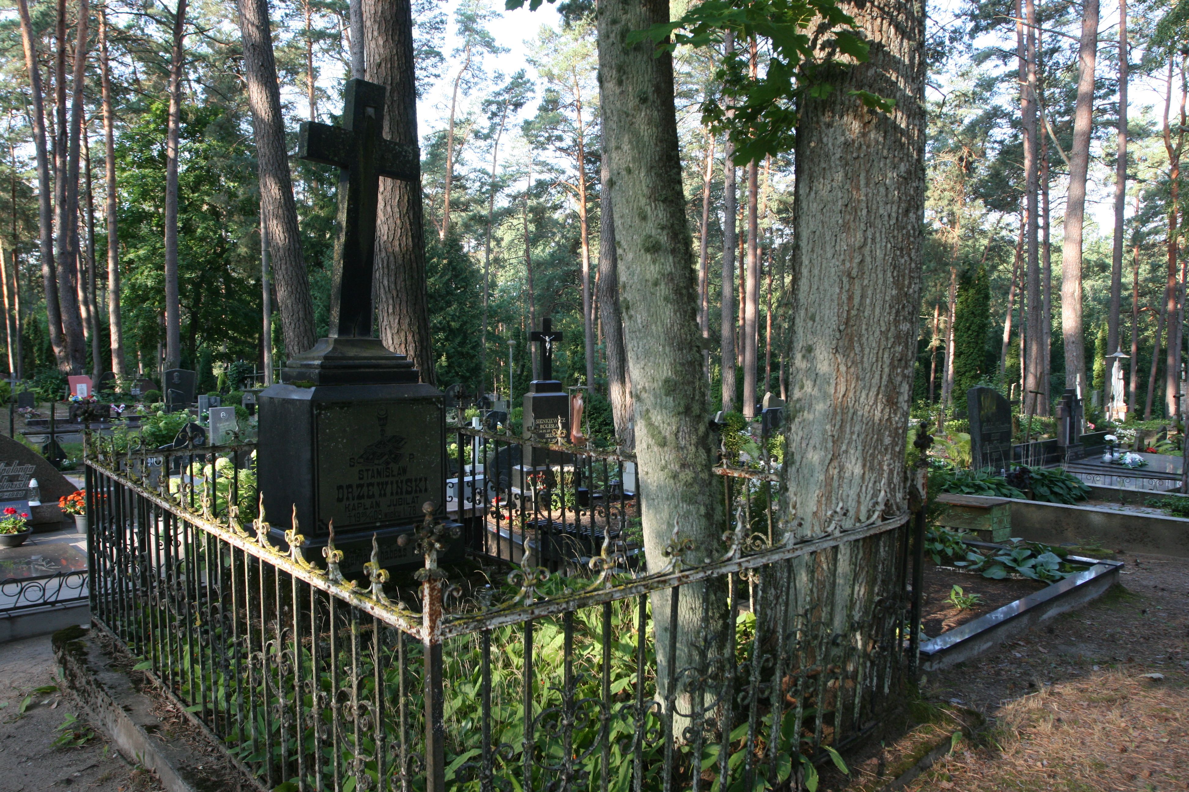 Photo montrant Pierre tombale de Stanisław et Józef Drzewiński