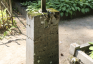 Fotografia przedstawiająca Tombstone of Anna Kowalewska