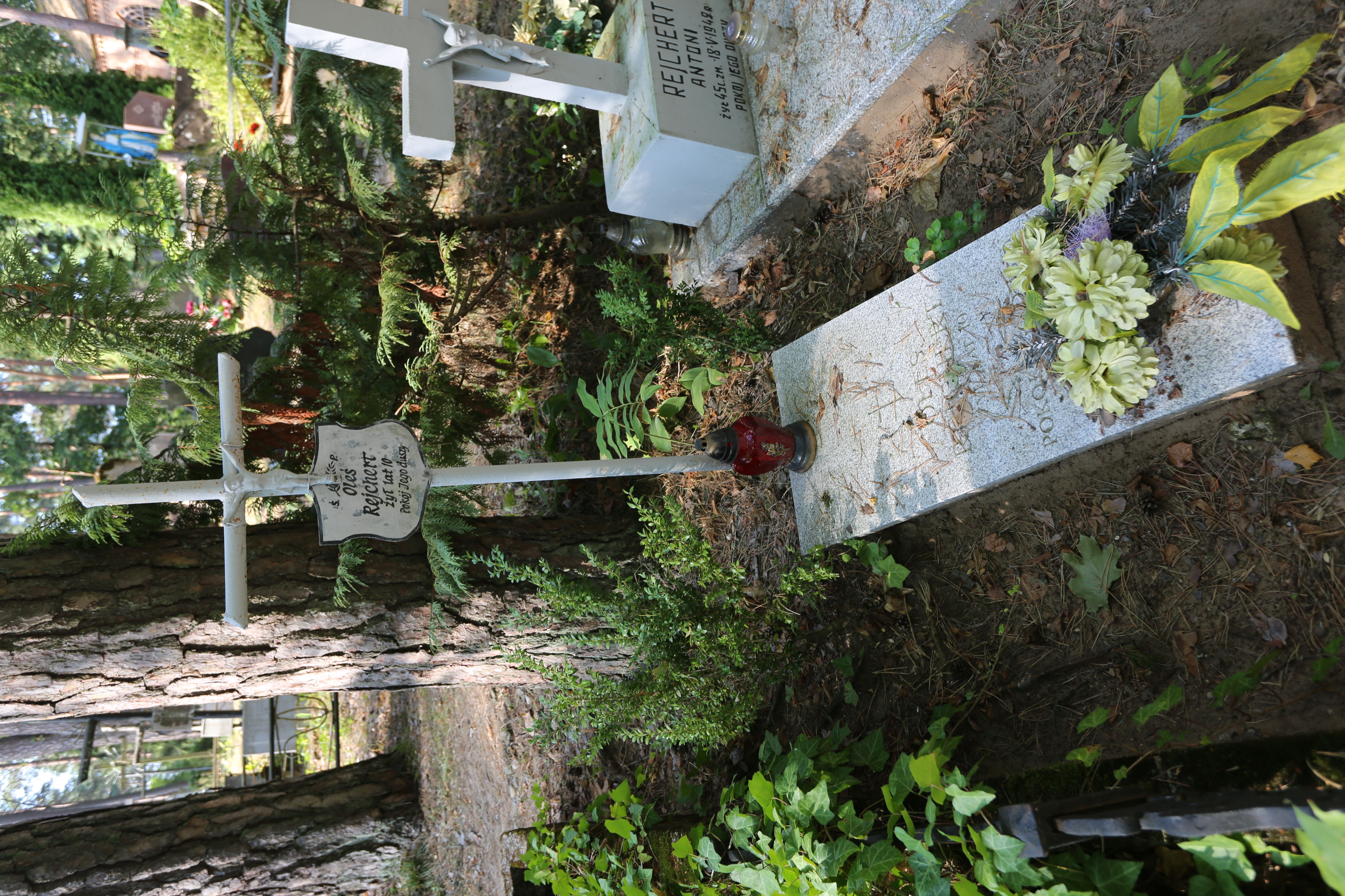 Fotografia przedstawiająca Tombstone of Oles Rejchert