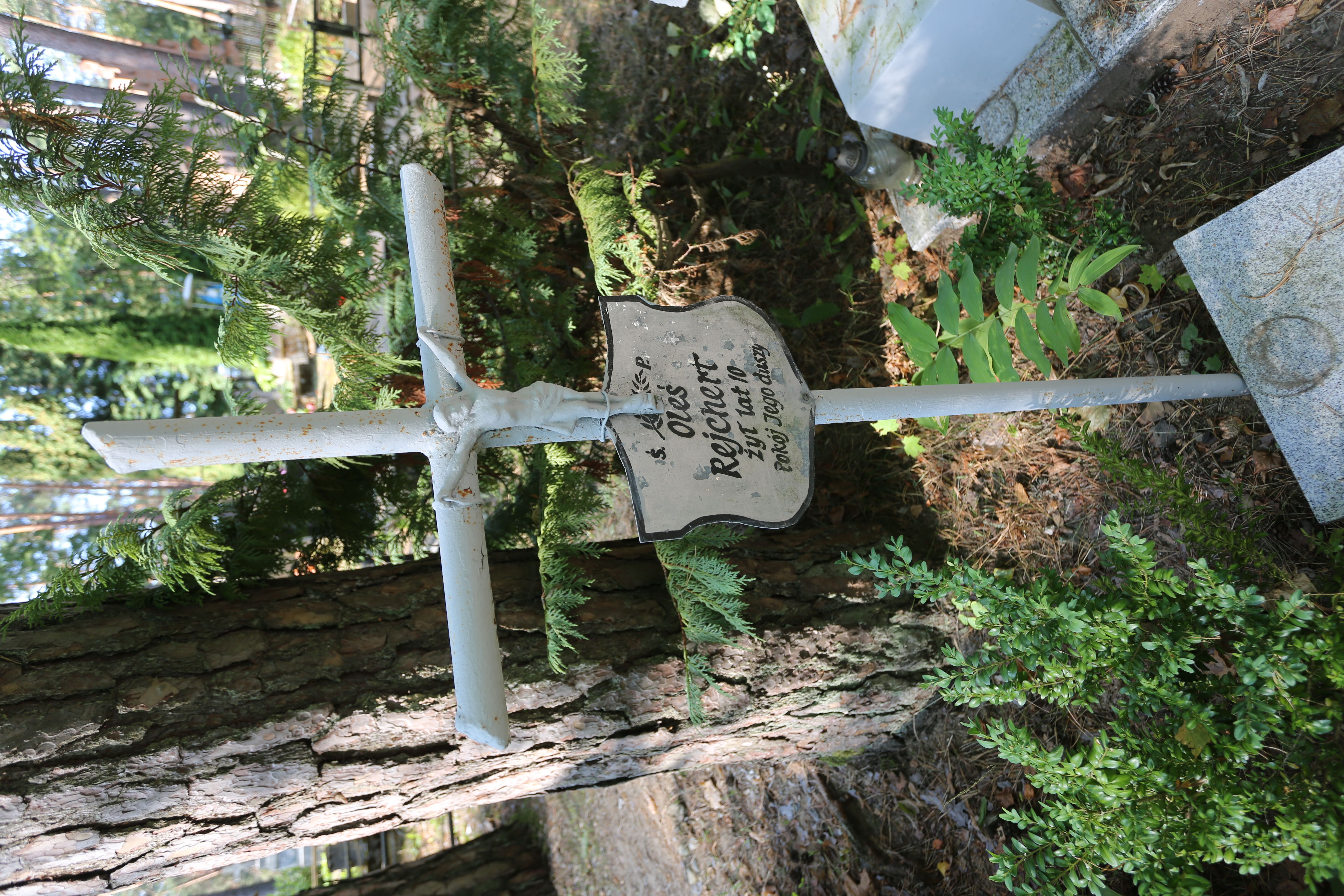 Fotografia przedstawiająca Tombstone of Oles Rejchert