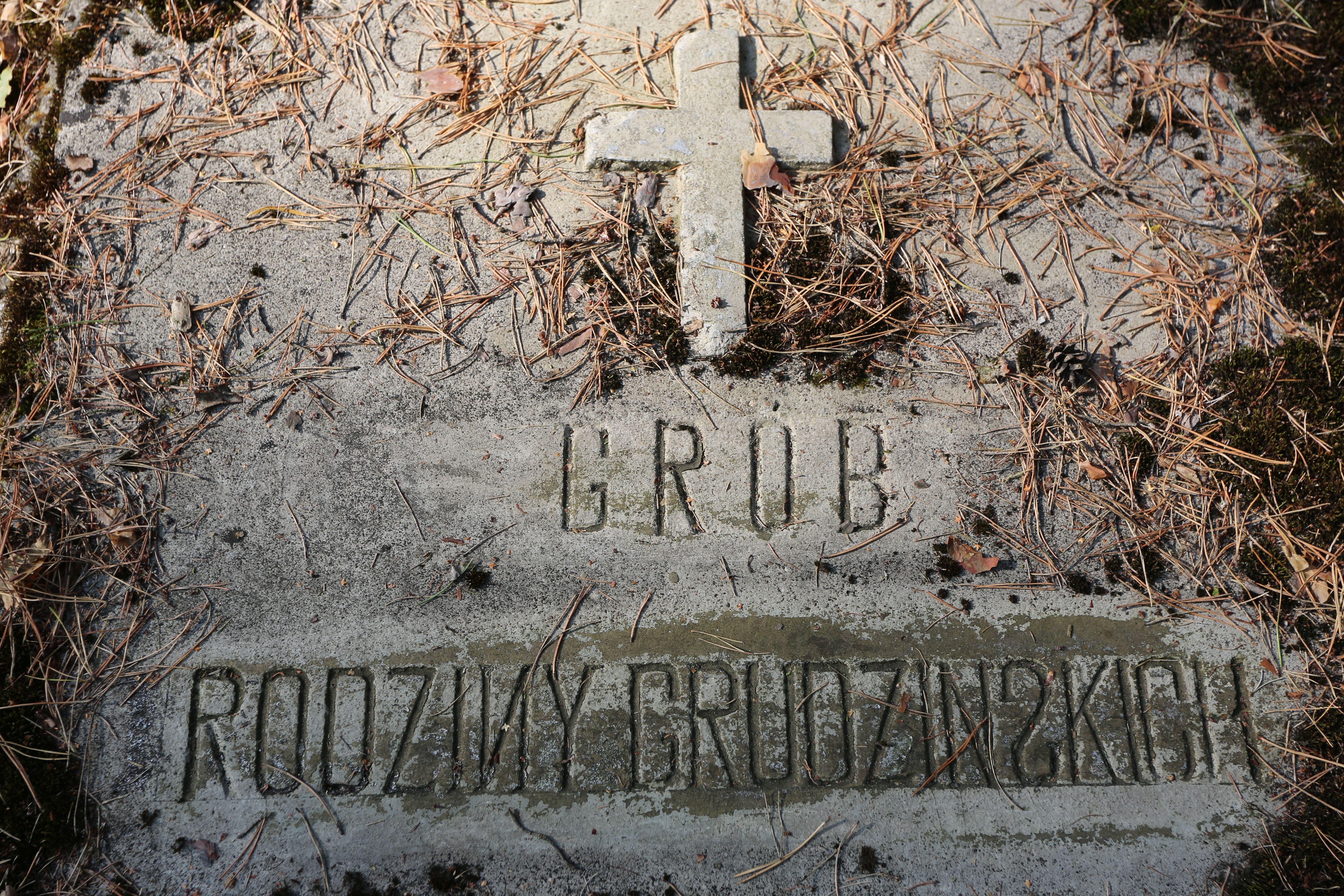 Fotografia przedstawiająca Tombstone of the Grudzinski family