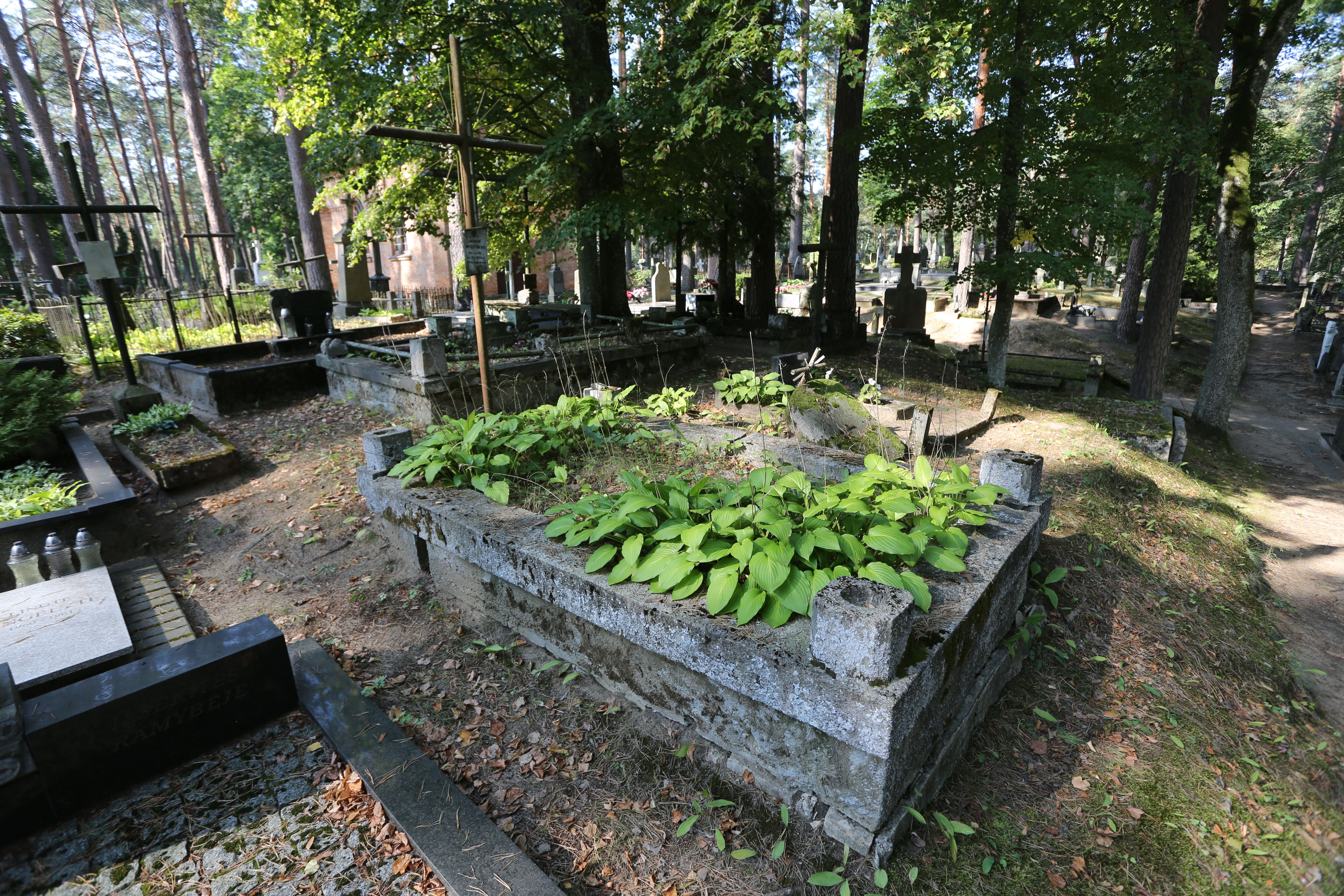 Fotografia przedstawiająca Tombstone of Marian Myszkowski