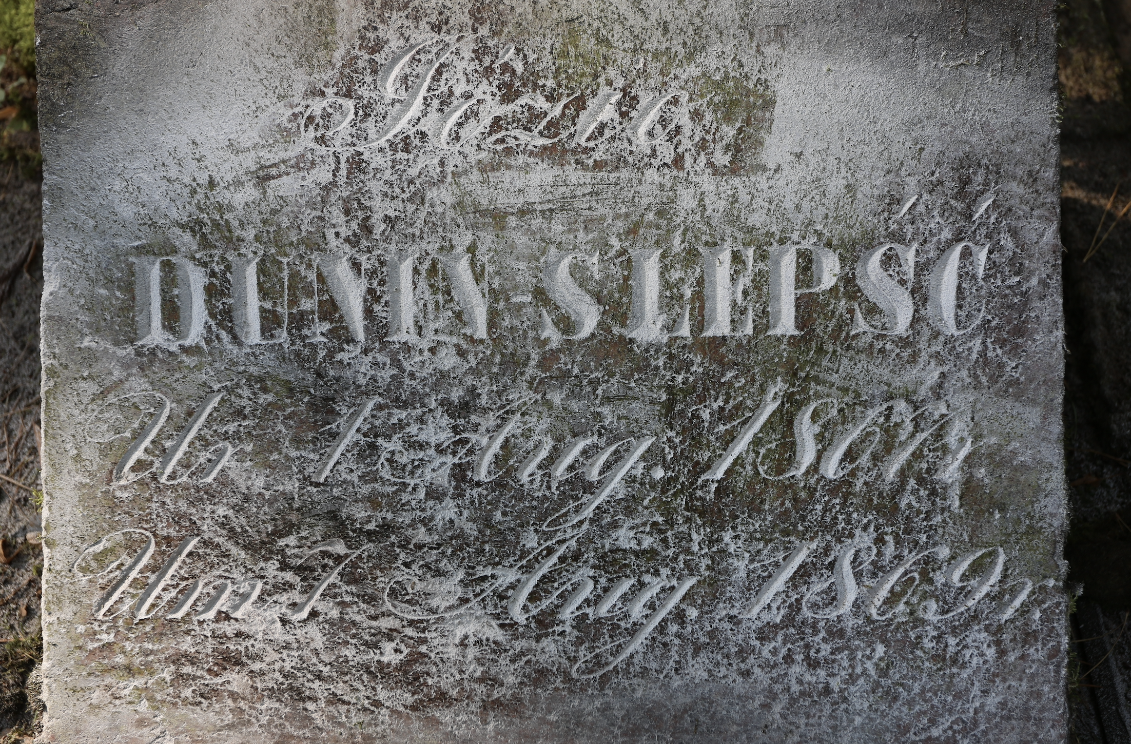 Fotografia przedstawiająca Tombstone of Józia Dunin-Slepść