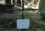 Fotografia przedstawiająca Grave of the Grudziński family