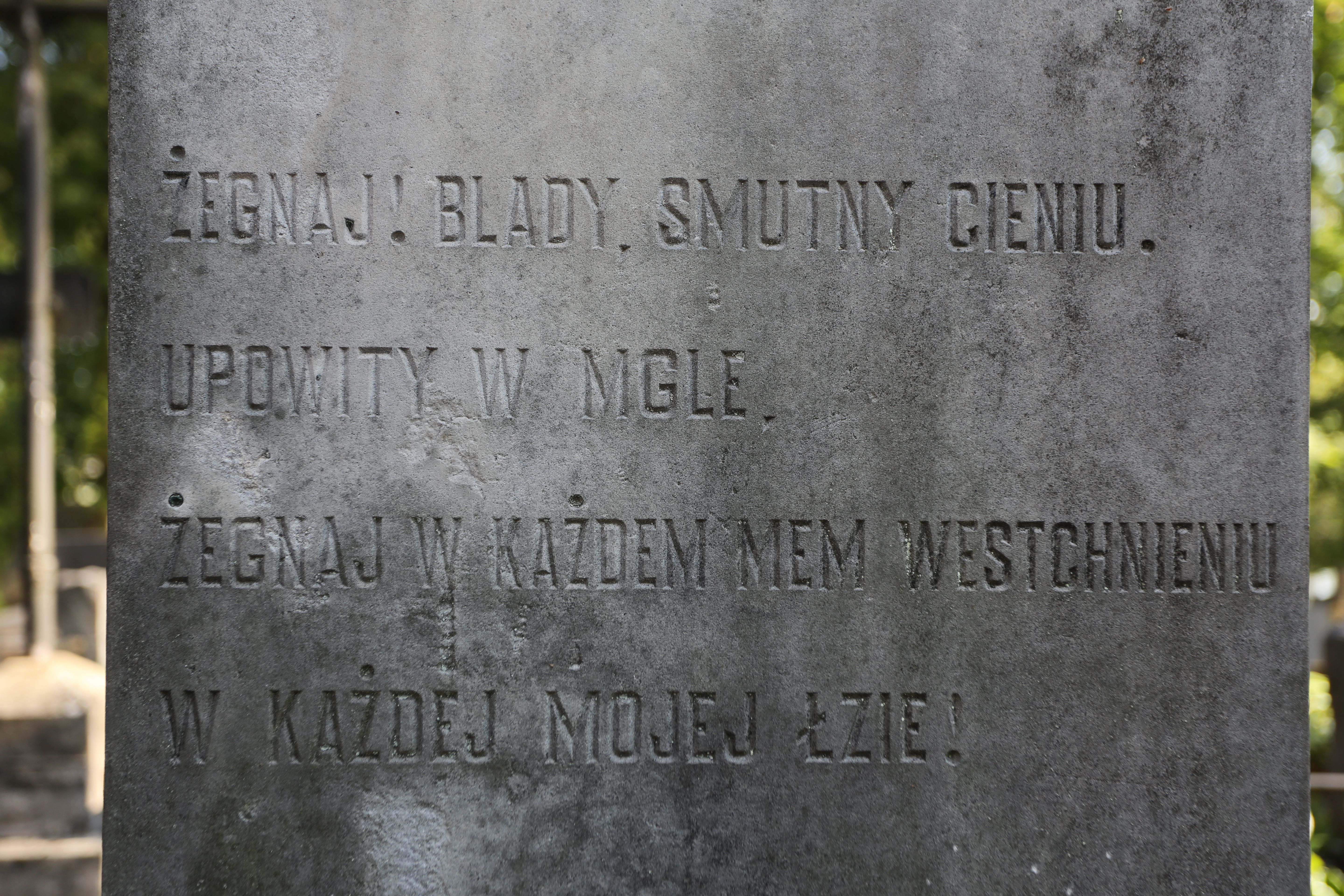 Fotografia przedstawiająca Tombstone of Kazimierz Makarewicz