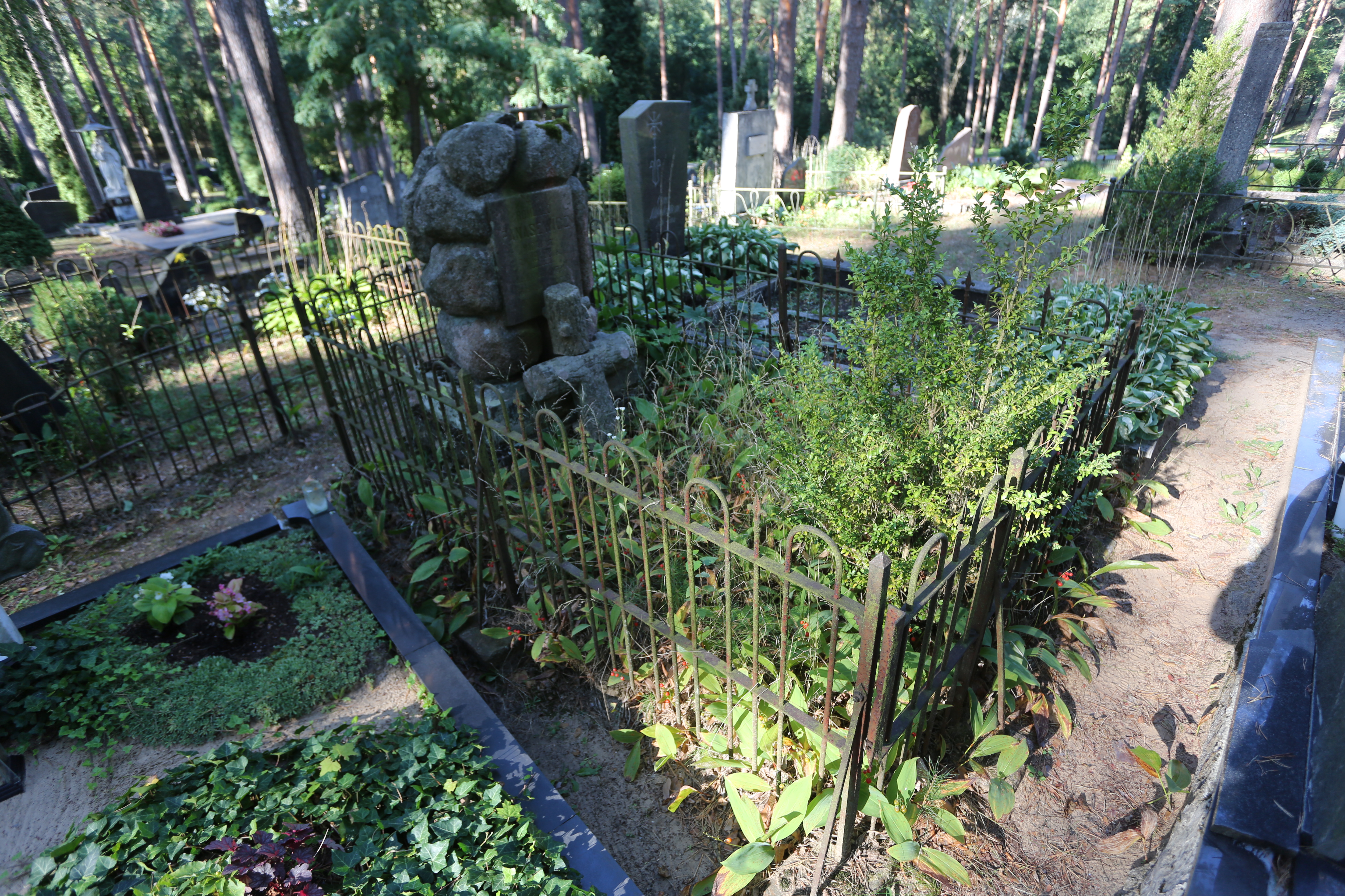 Fotografia przedstawiająca Nagrobek Romualda Panasewicza