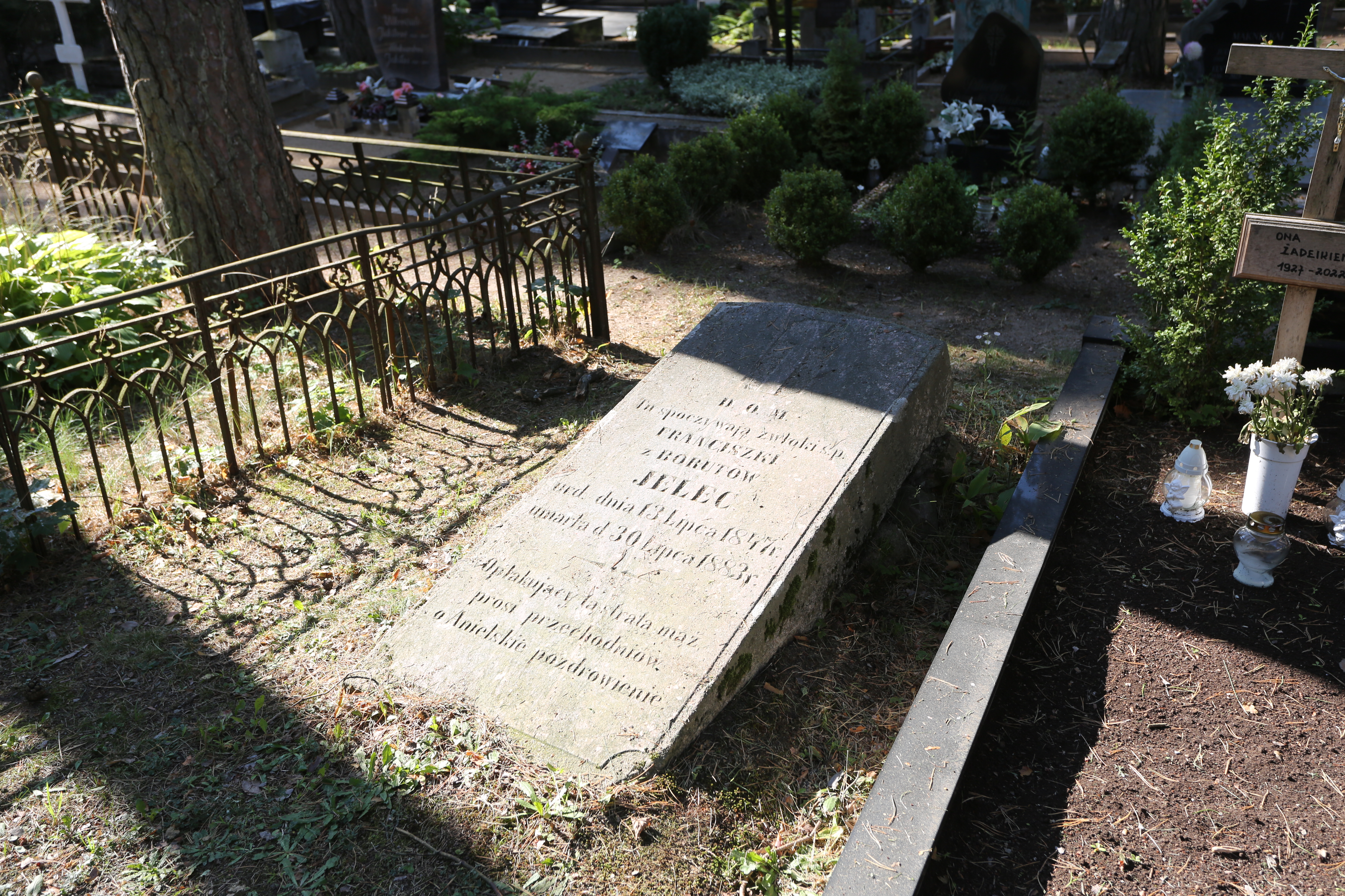 Fotografia przedstawiająca Tombstone of Franciszka Jelec