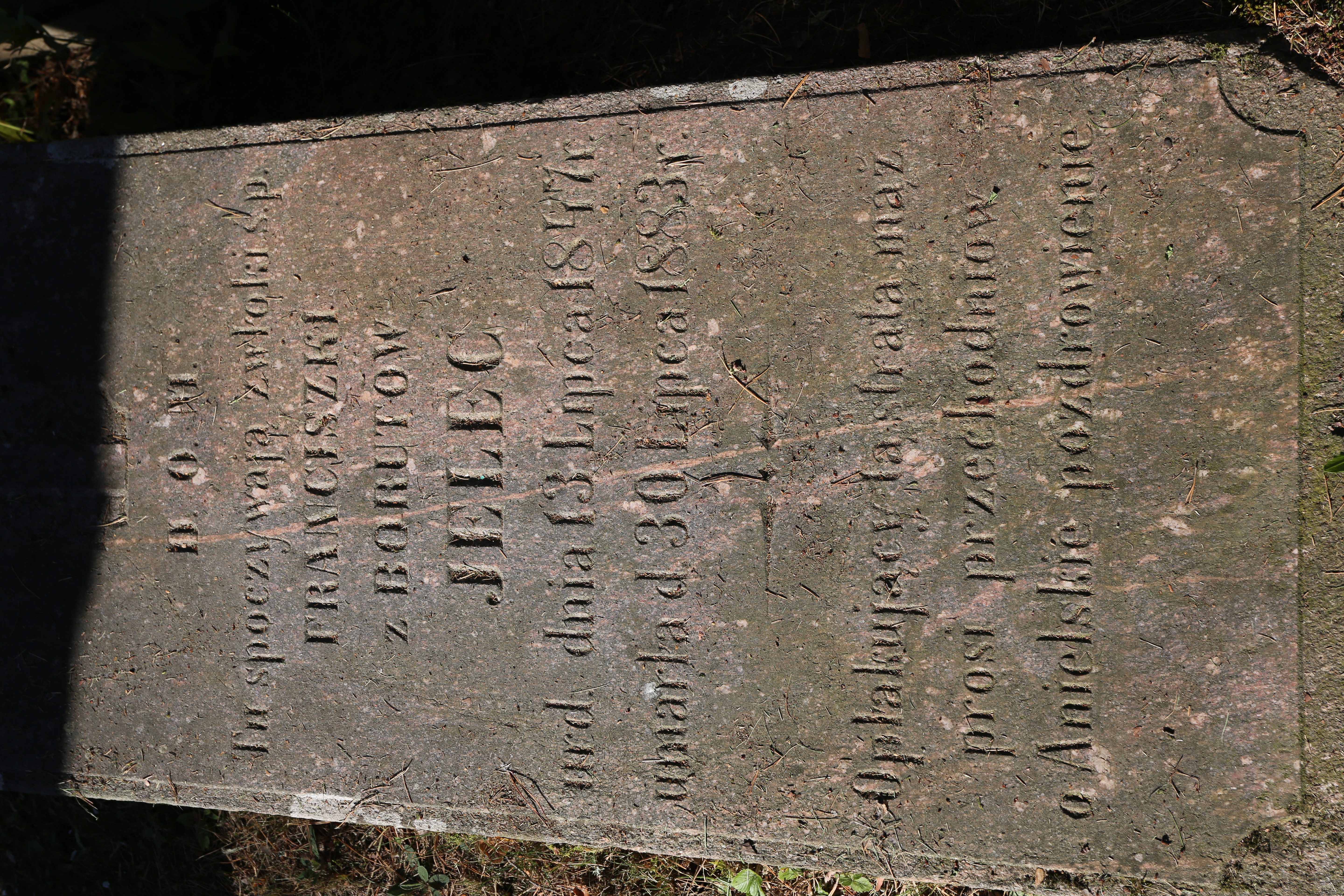 Fotografia przedstawiająca Tombstone of Franciszka Jelec