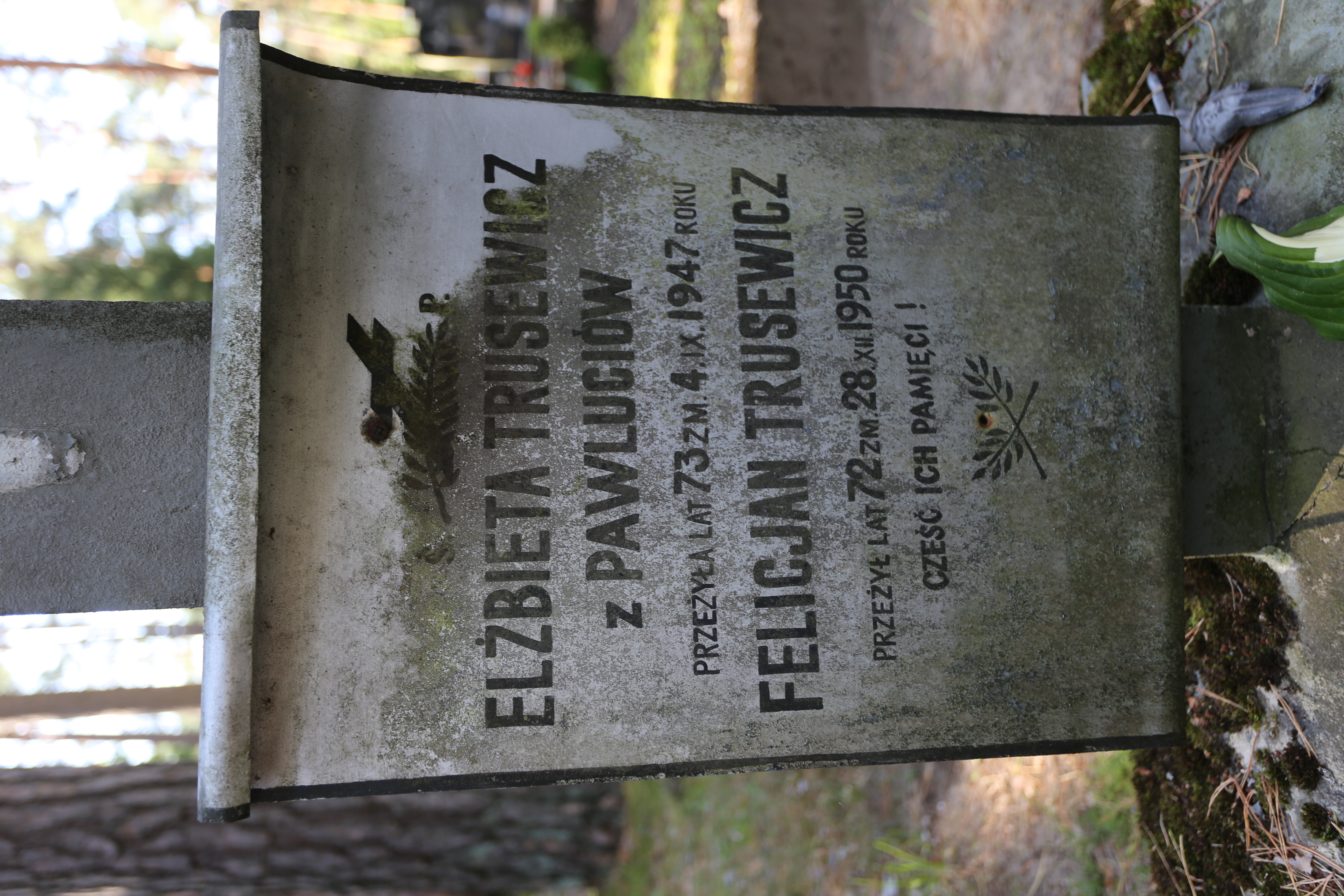 Fotografia przedstawiająca Tombstone of Elżbieta and Felicjan Trusewicz