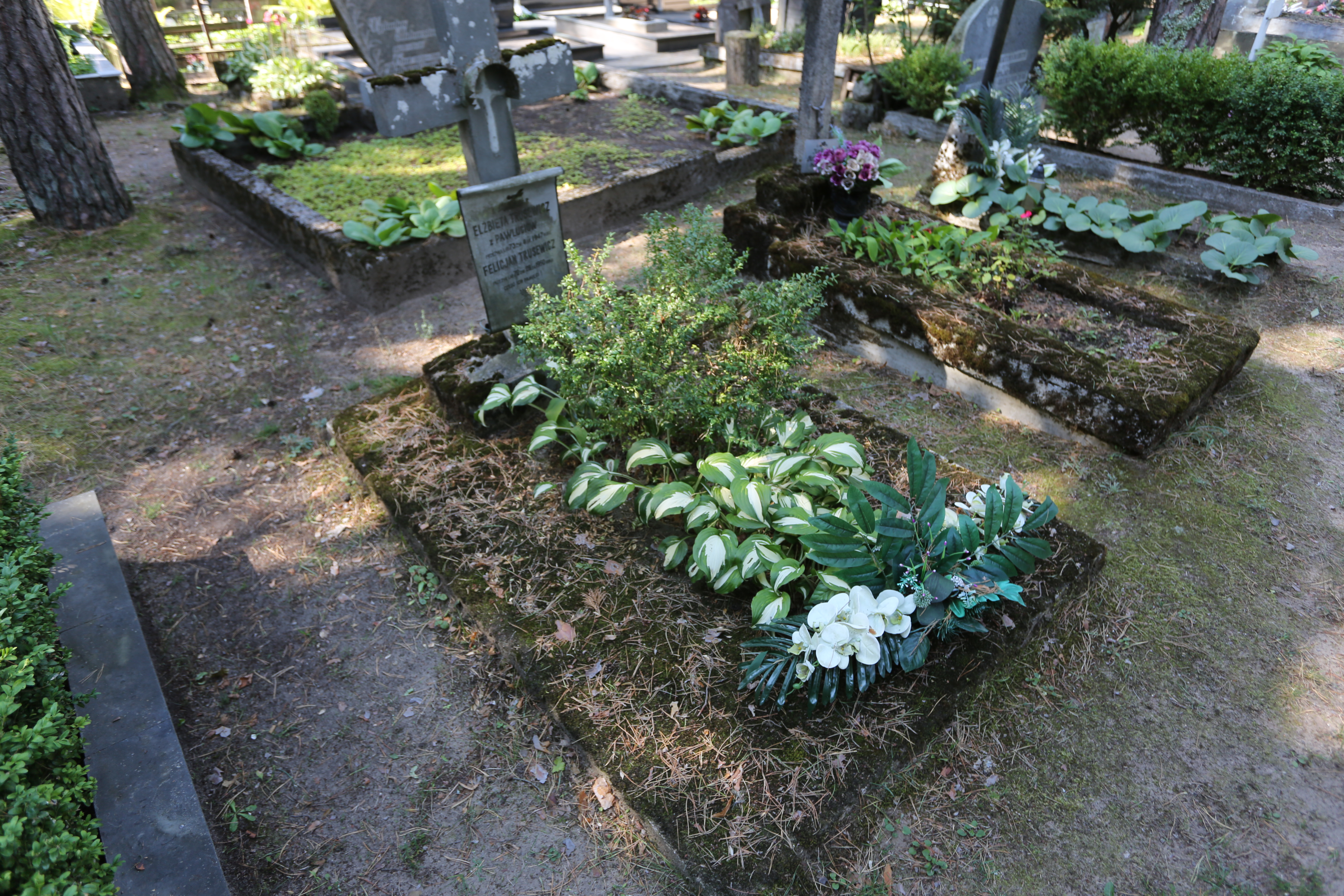 Fotografia przedstawiająca Tombstone of Elżbieta and Felicjan Trusewicz