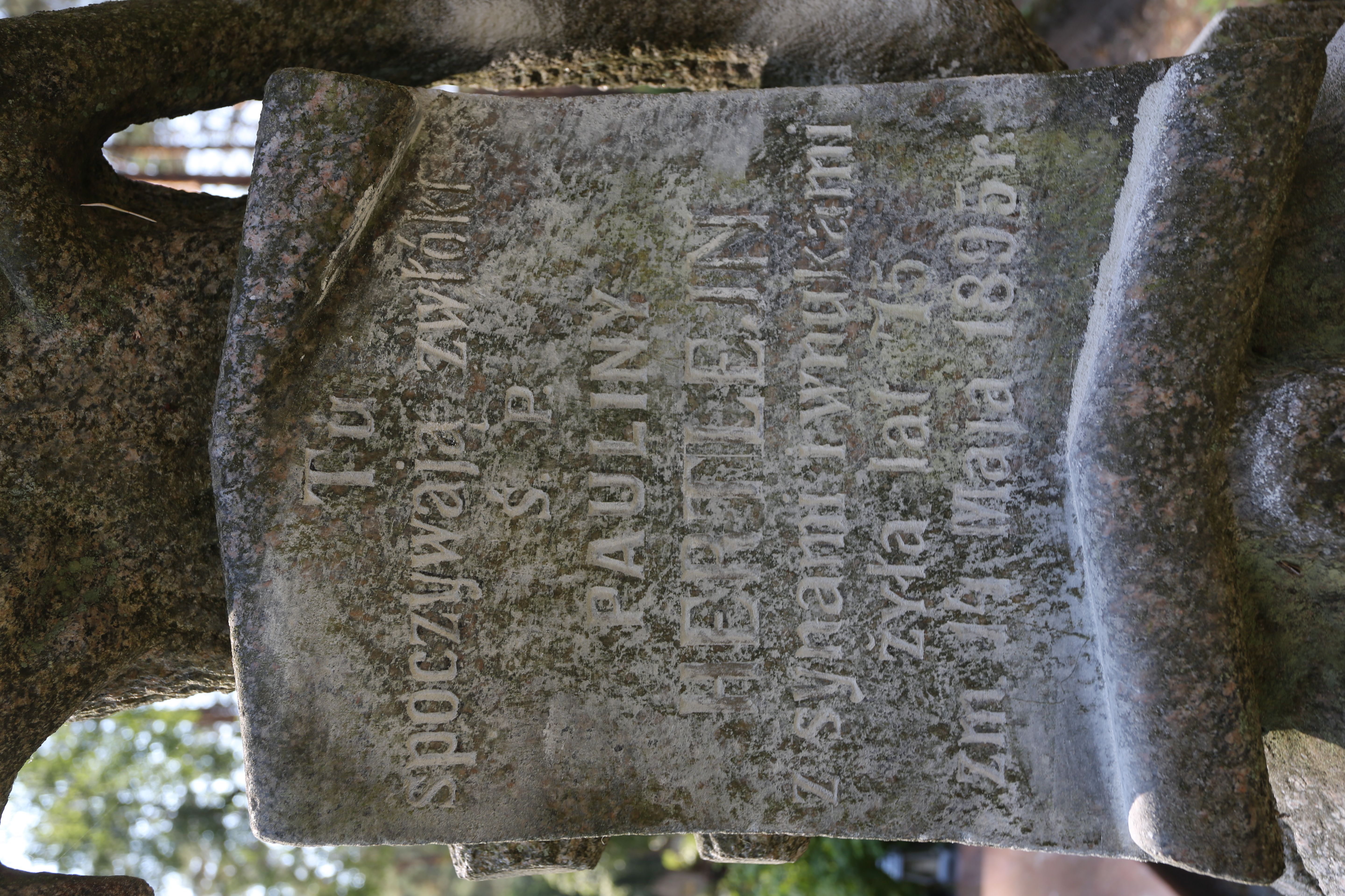 Fotografia przedstawiająca Tombstone of Pauline Hertlein with her son and grandchildren