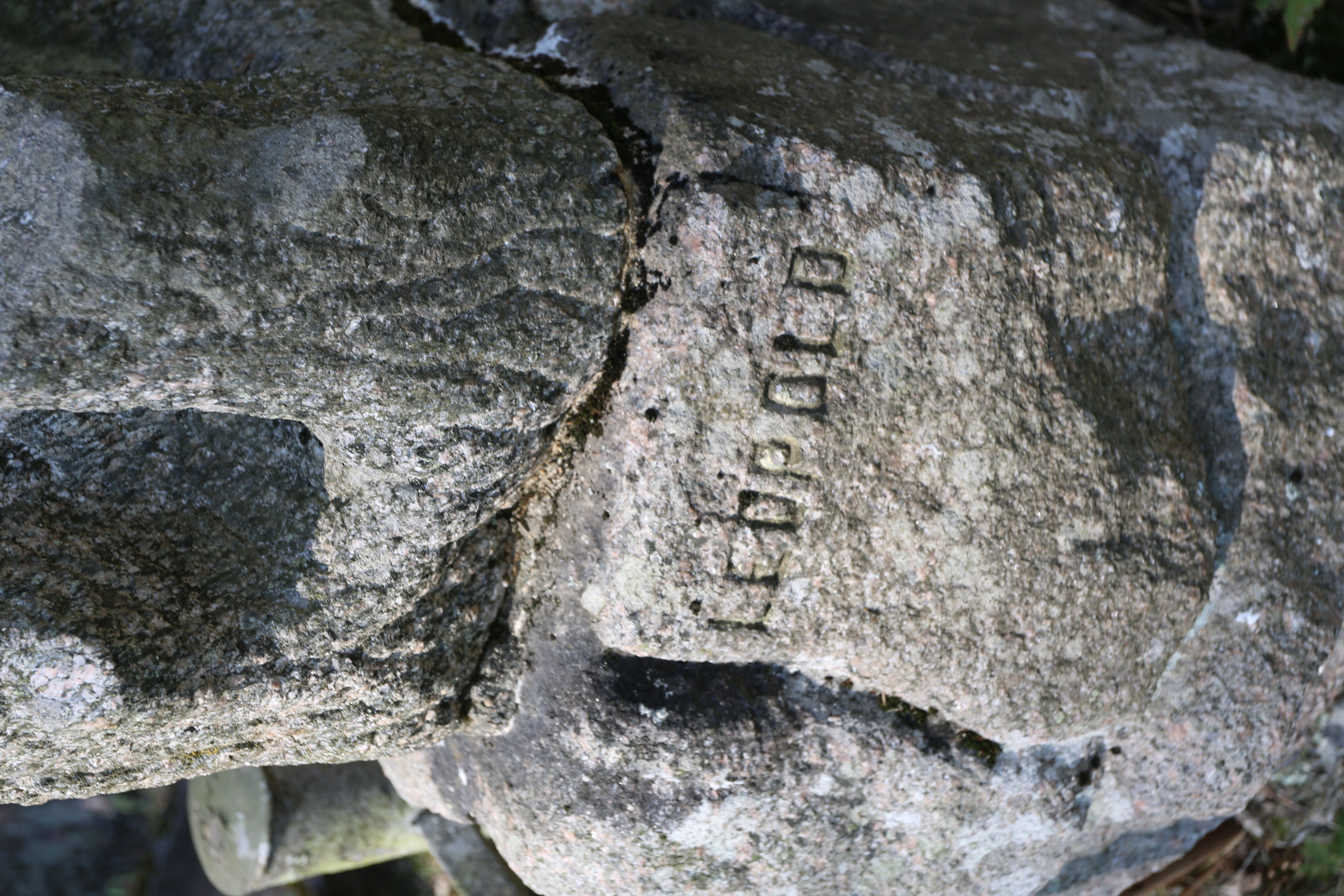 Fotografia przedstawiająca Tombstone of Pauline Hertlein with her son and grandchildren