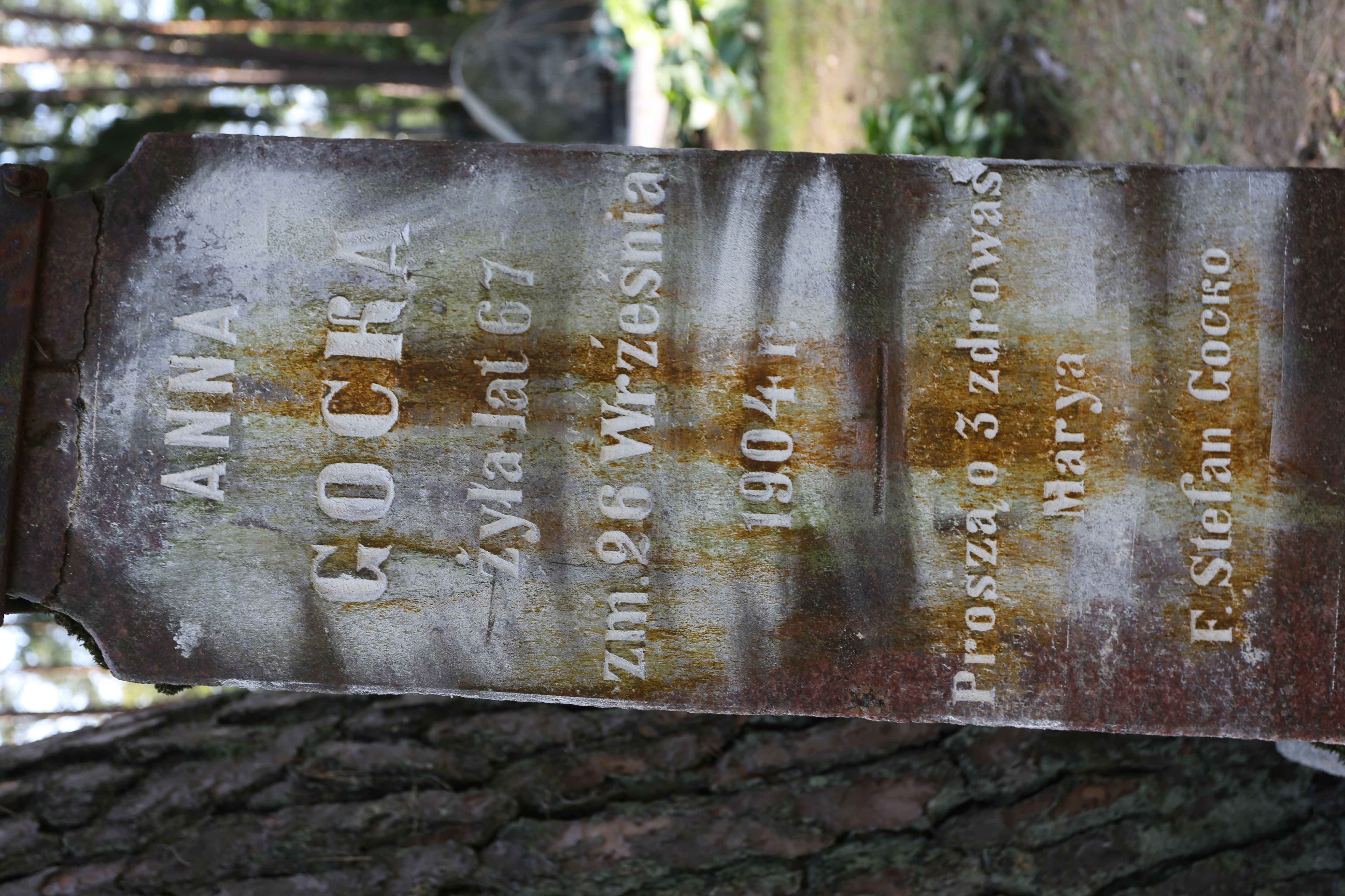 Fotografia przedstawiająca Tombstone of Anna Gocka