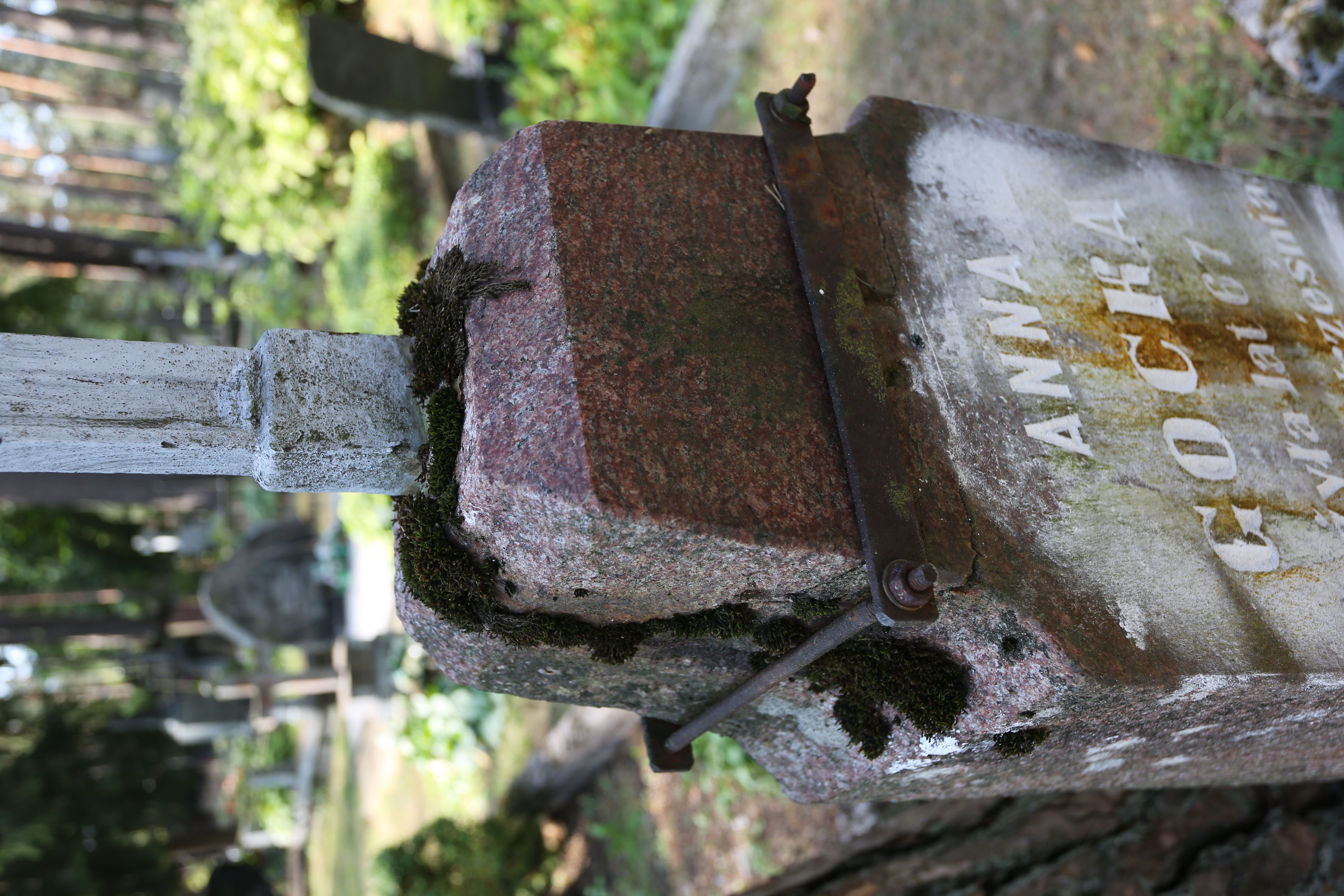 Fotografia przedstawiająca Tombstone of Anna Gocka