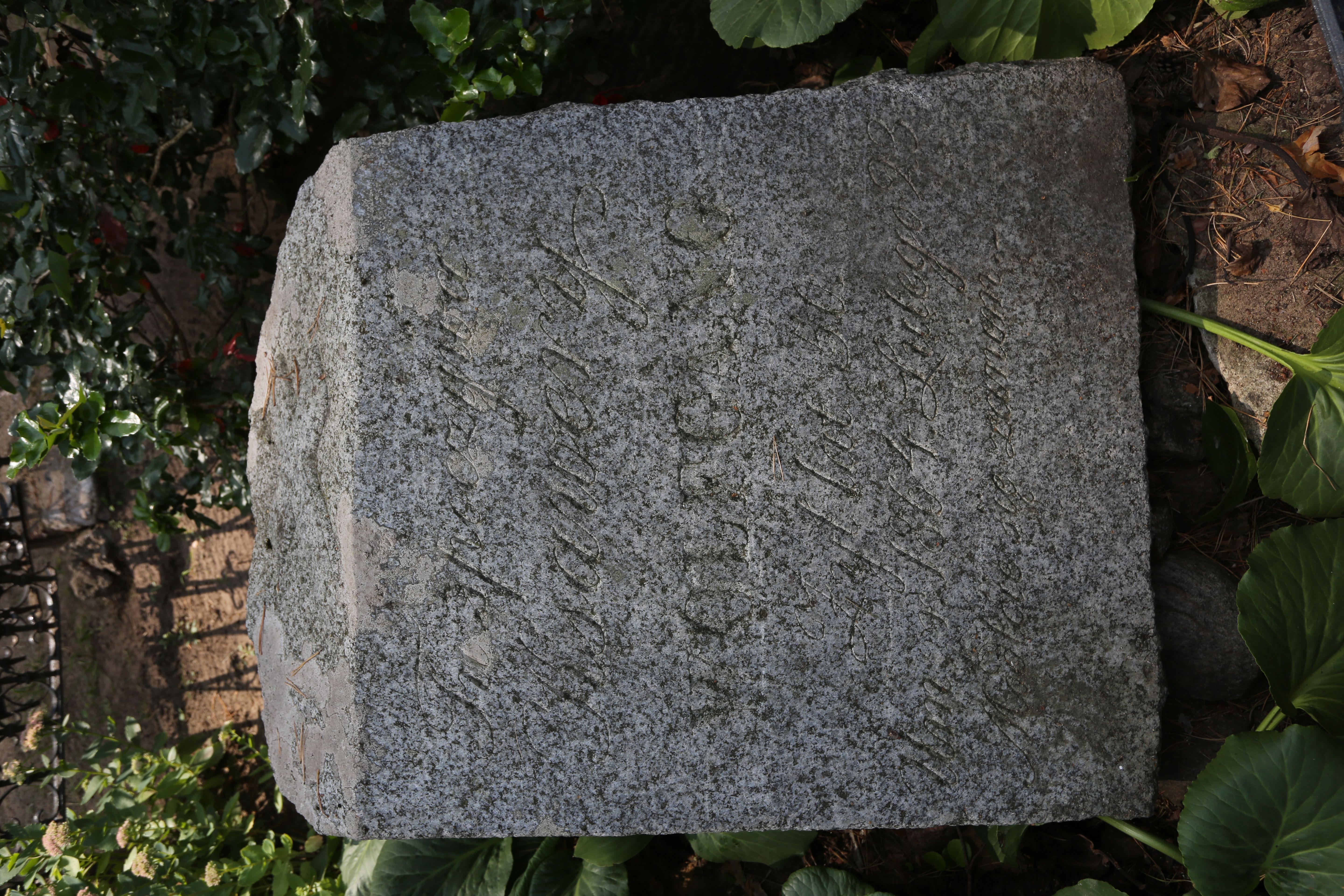 Fotografia przedstawiająca Tombstone of Xavier Wolfgang