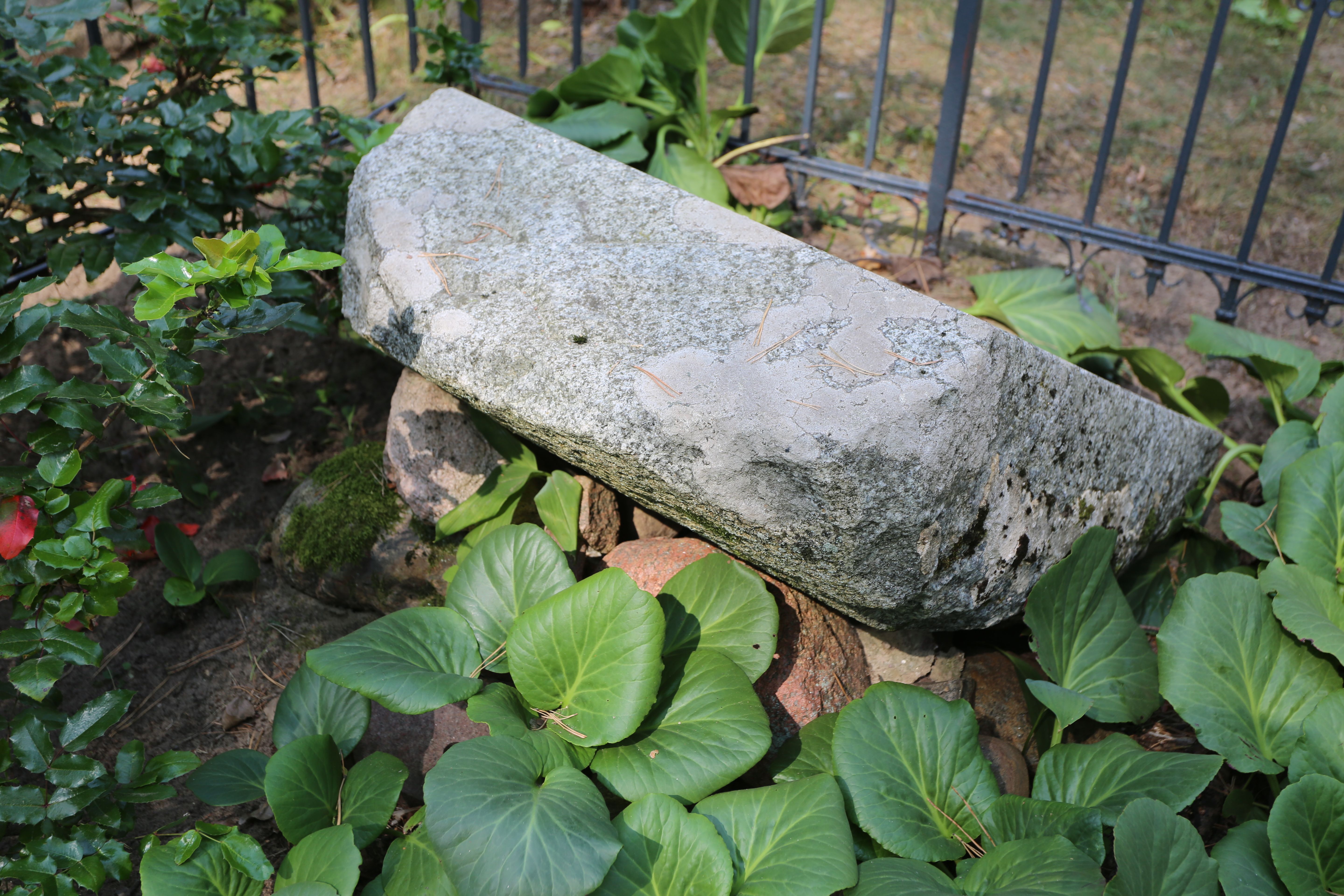 Fotografia przedstawiająca Tombstone of Xavier Wolfgang