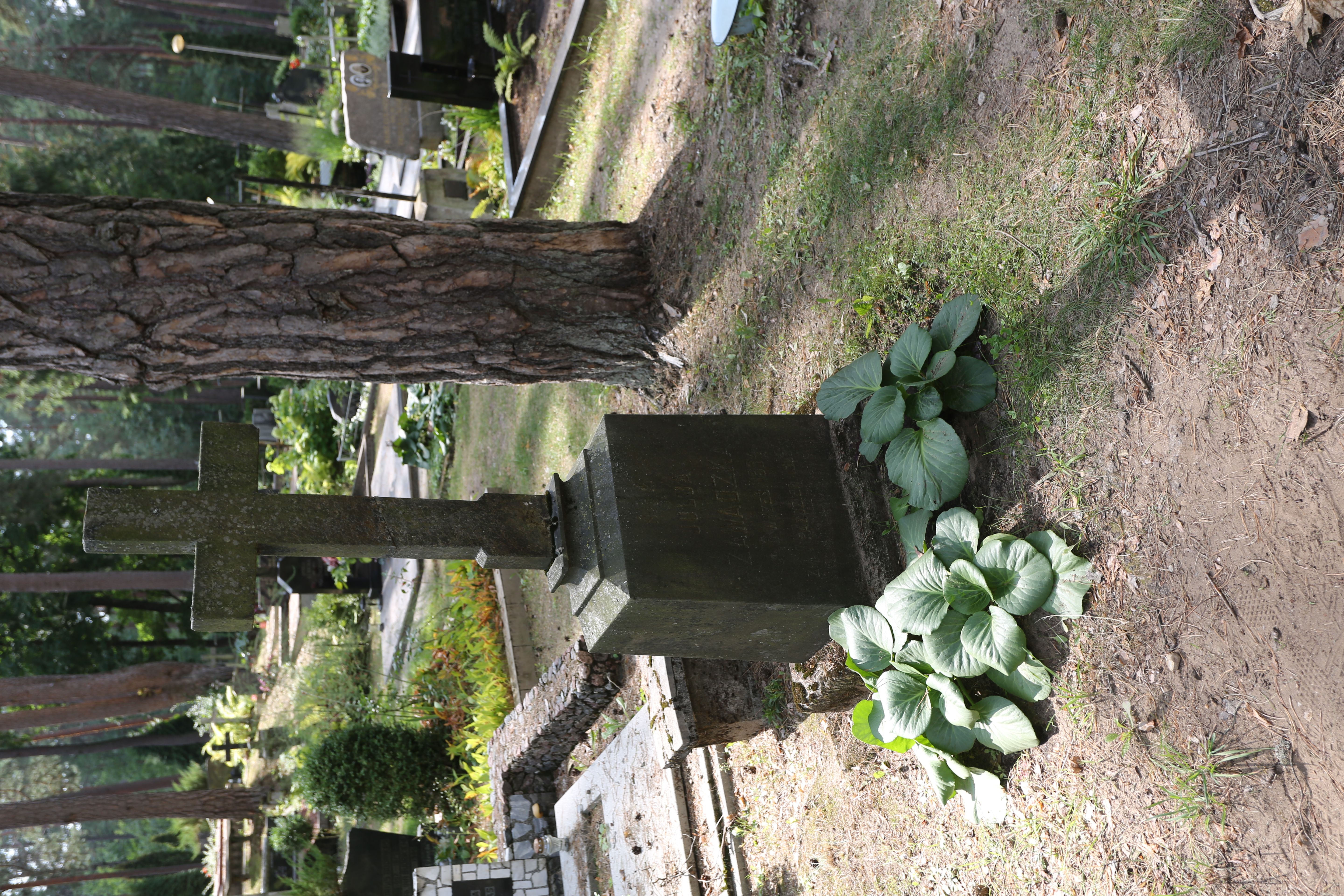 Fotografia przedstawiająca Tombstone of Julia Zawadzka