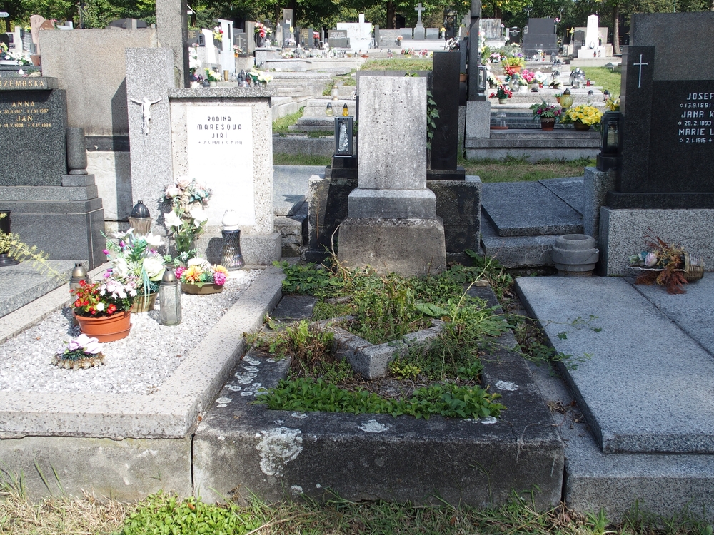 Fotografia przedstawiająca Tombstone of Arnostka Konieczna