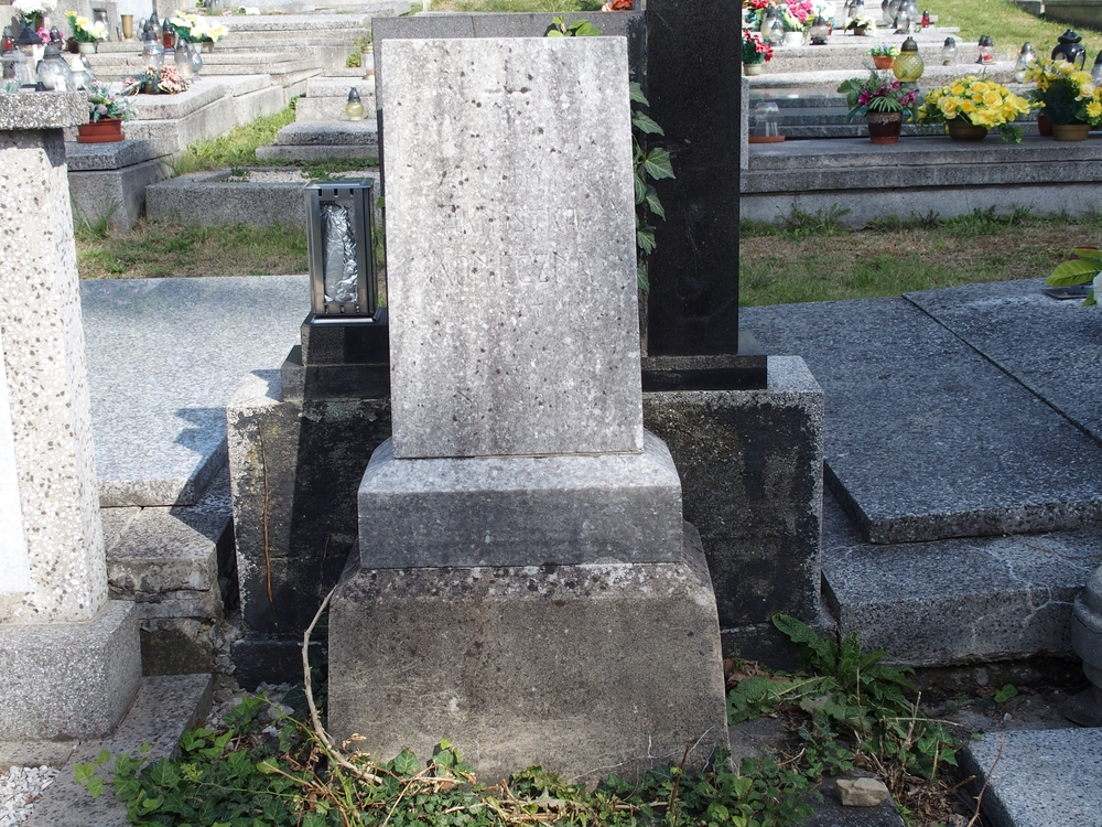 Fotografia przedstawiająca Tombstone of Arnostka Konieczna