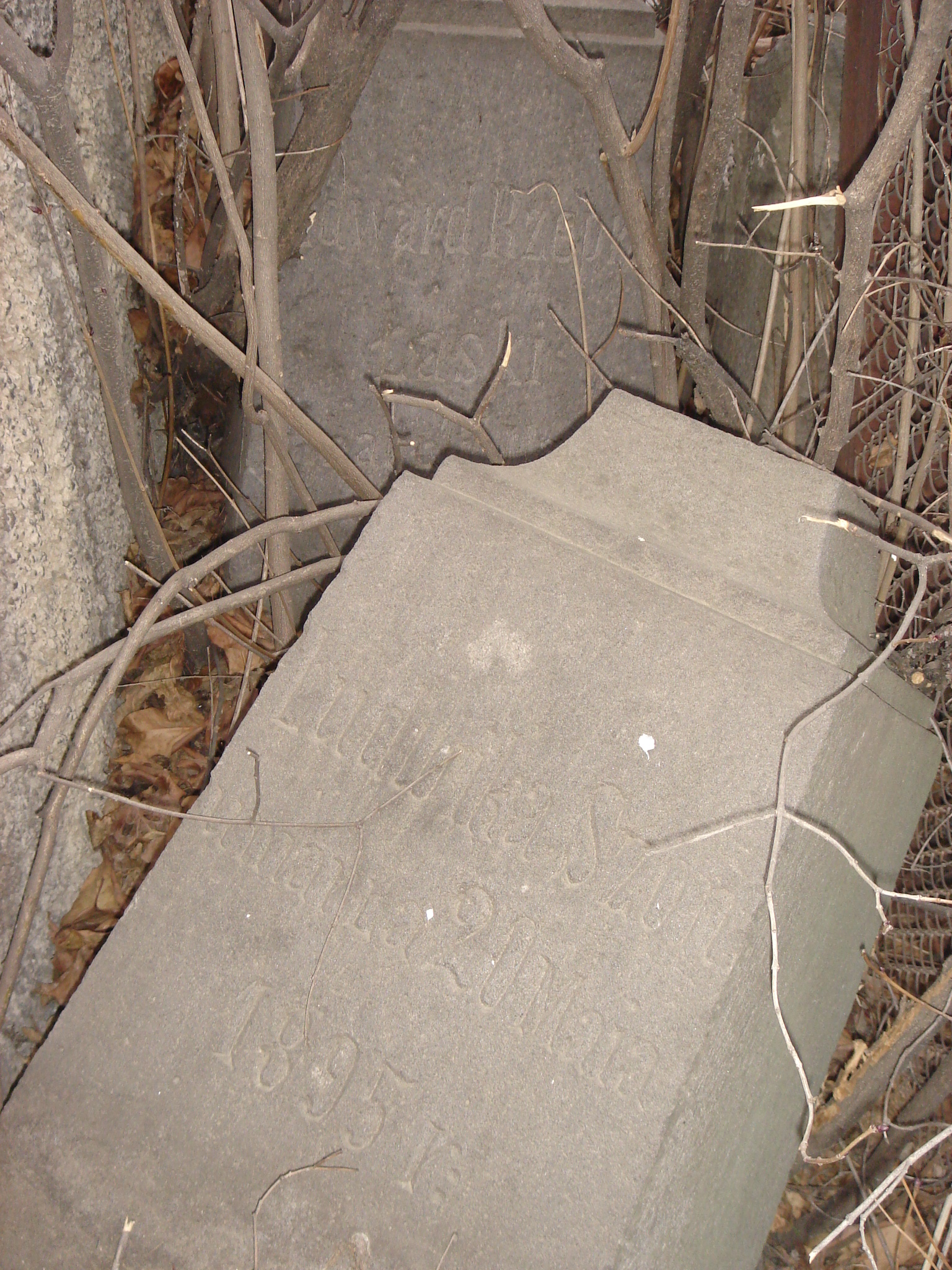 Fotografia przedstawiająca Kukij cemetery